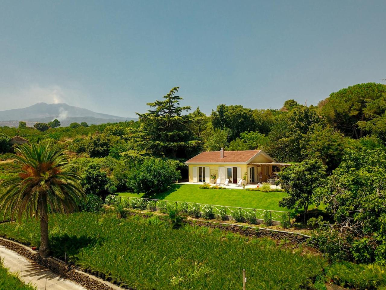 Villa with Sea View photo 2