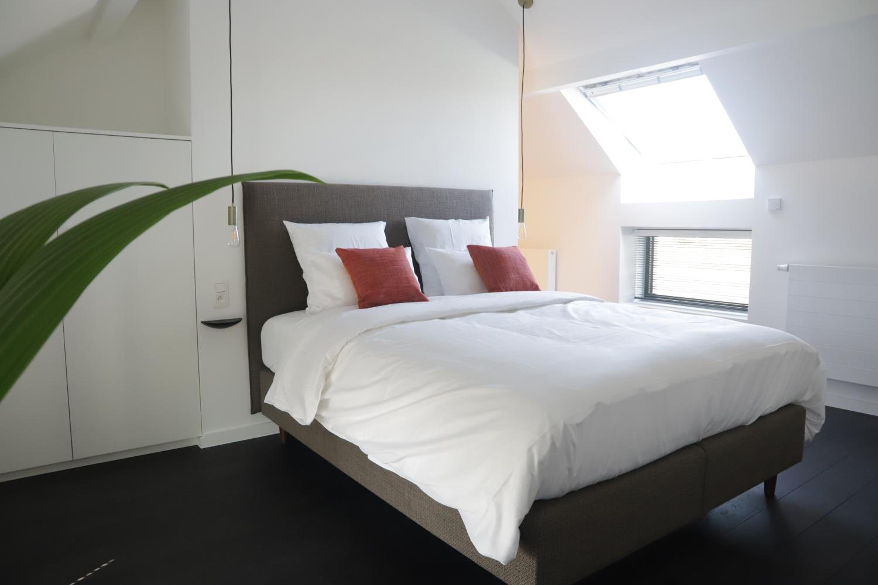 Deluxe King Room photo 1