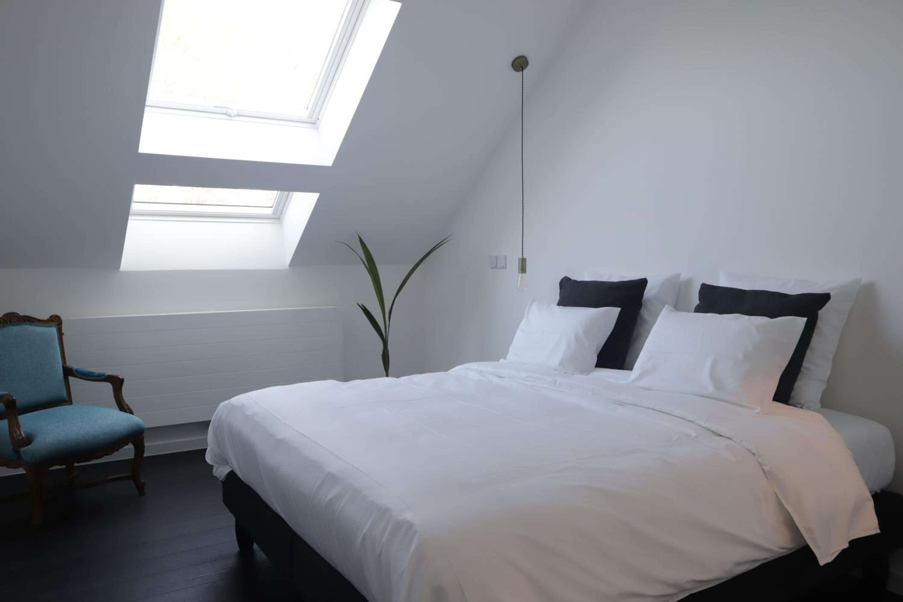 Deluxe Room photo 2