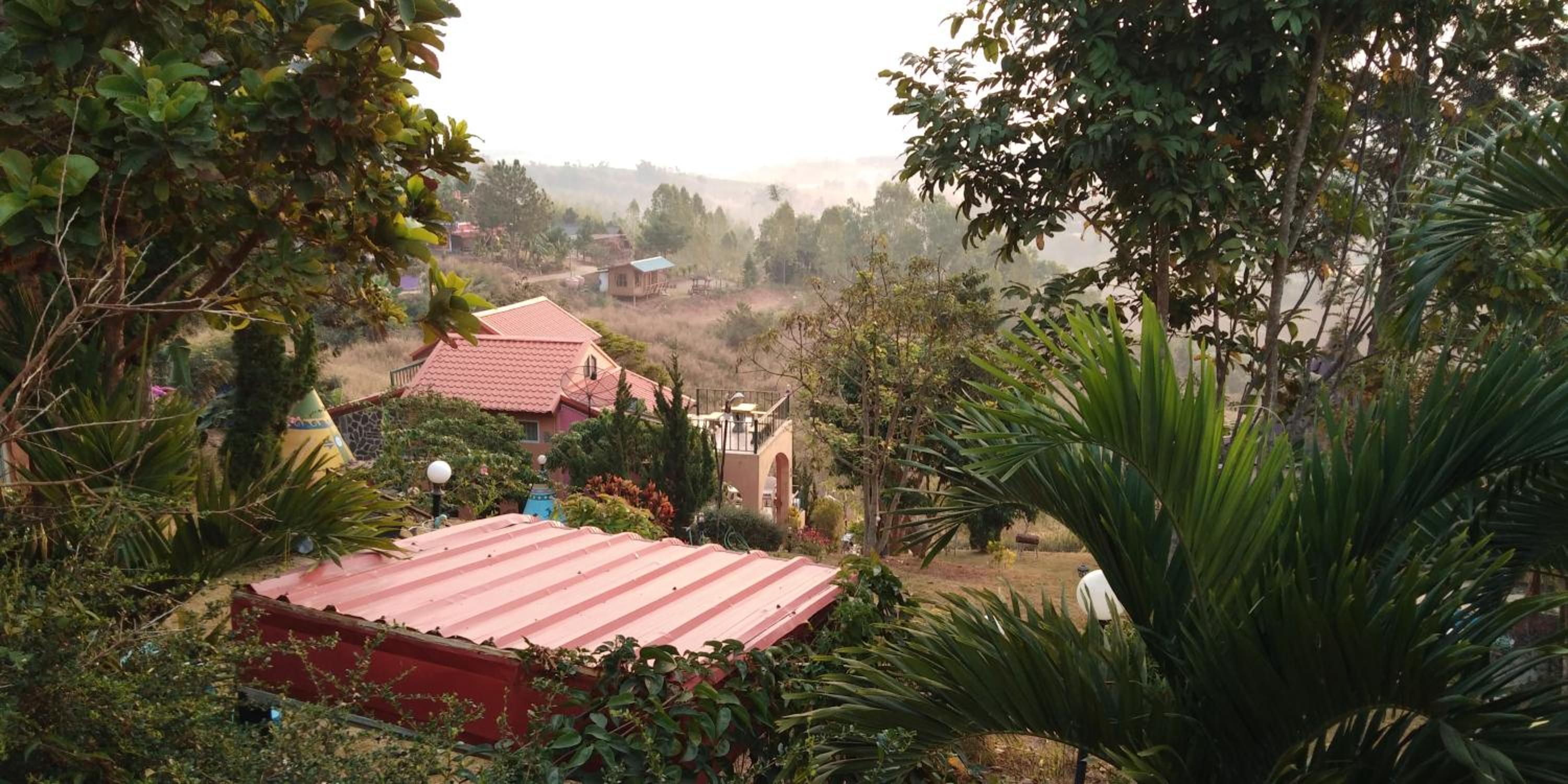 Standard Bungalow photo 3