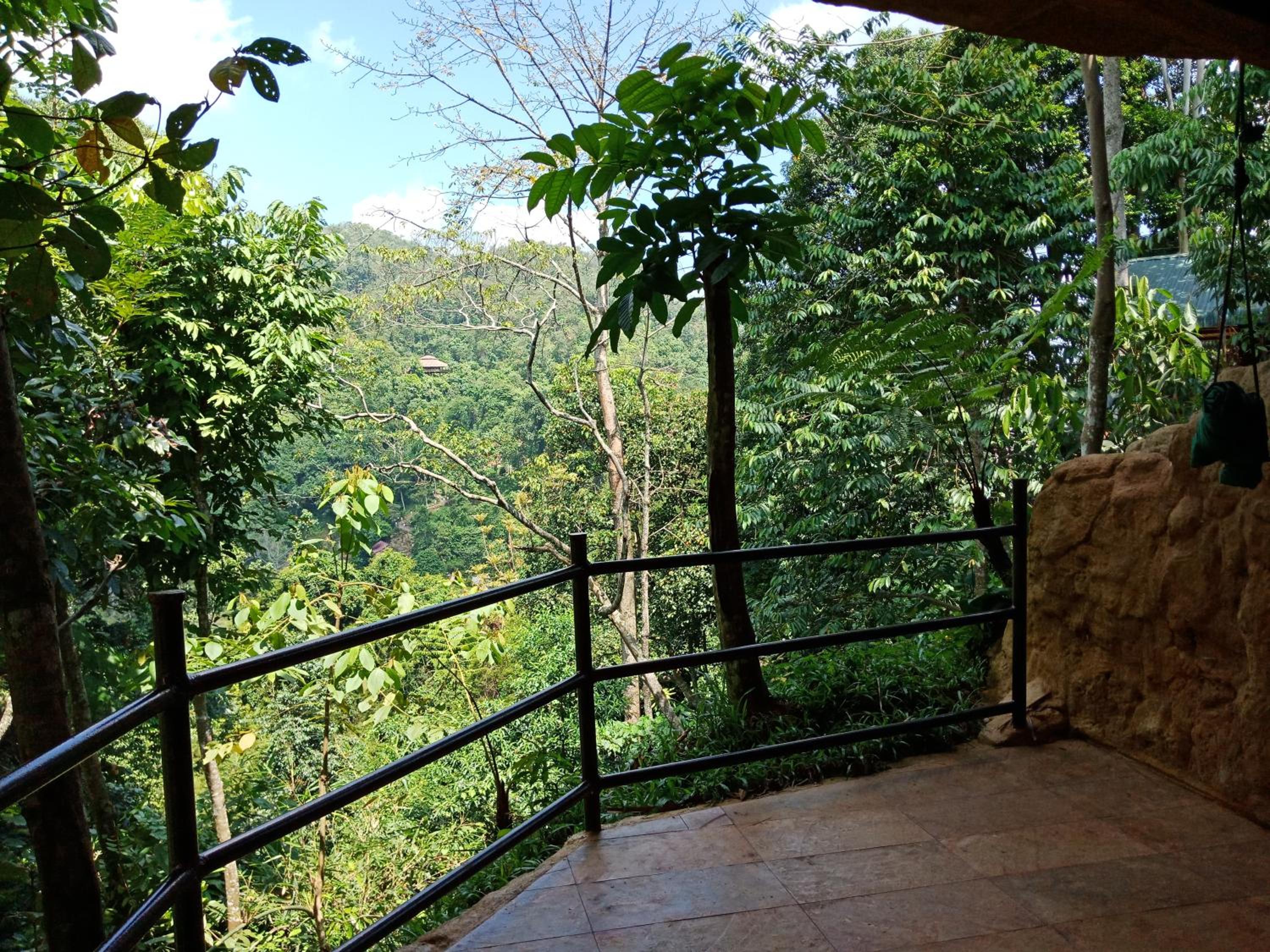 Deluxe Double Room with Balcony photo 2