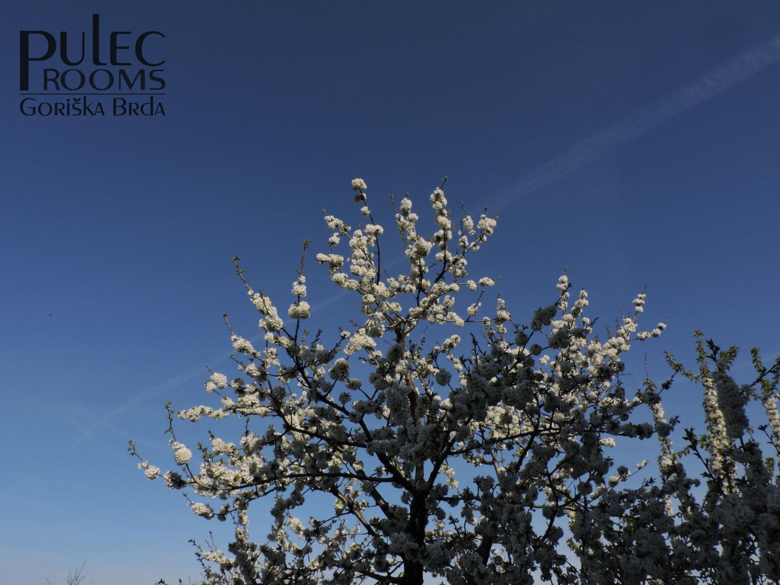 Double Room with Terrace - Photo 11