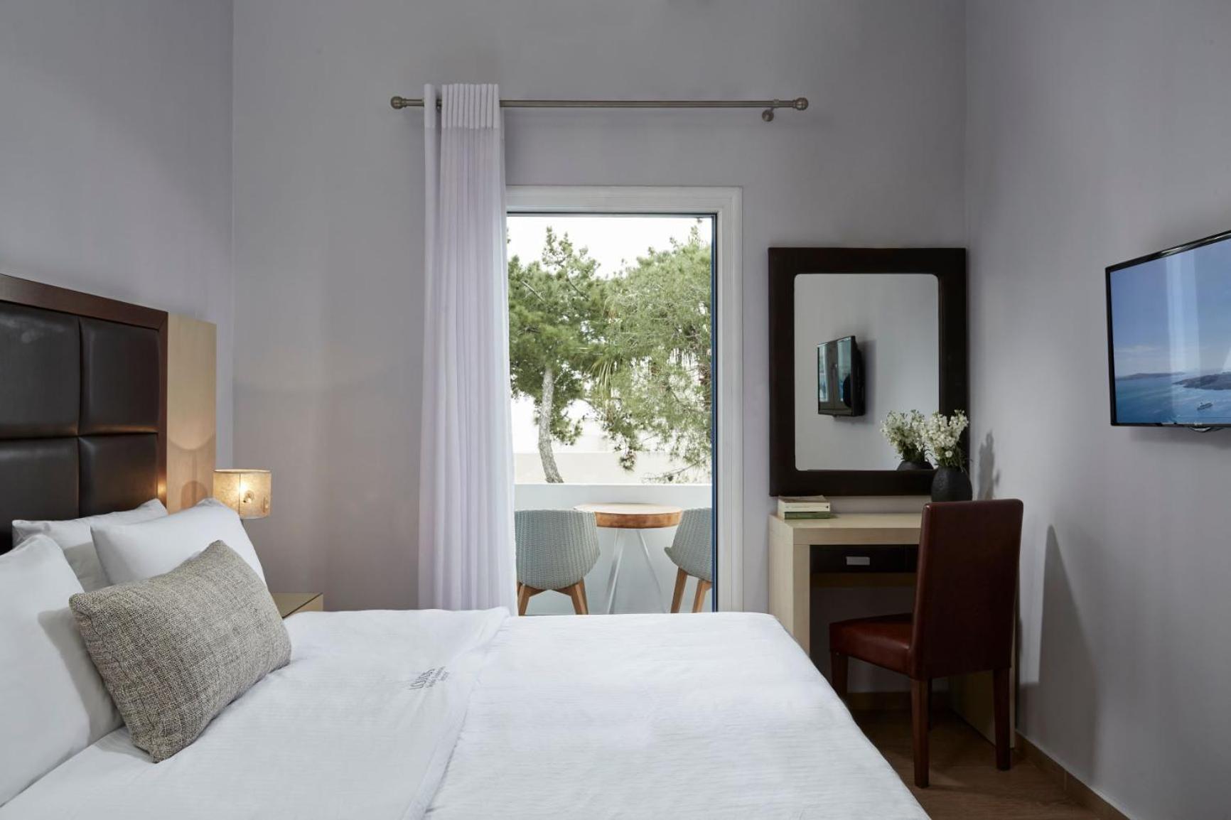 Superior Double or Twin Room