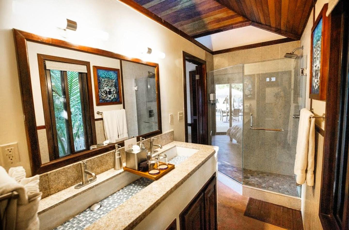 Deluxe Studio with Ensuite Private Mini Pool photo 3
