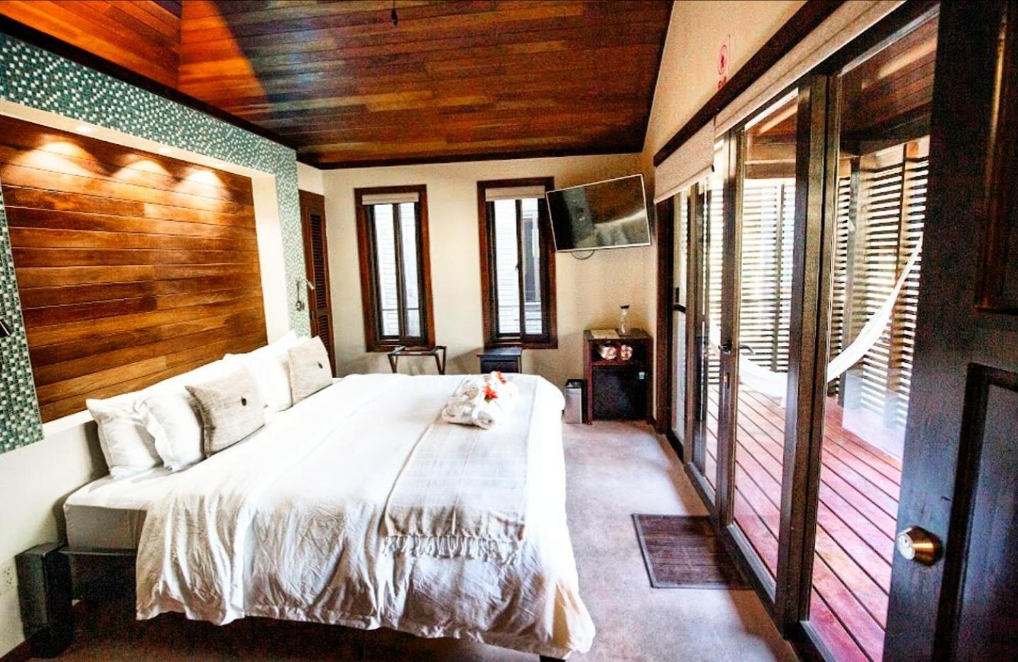 Deluxe Studio with Ensuite Private Mini Pool photo 1