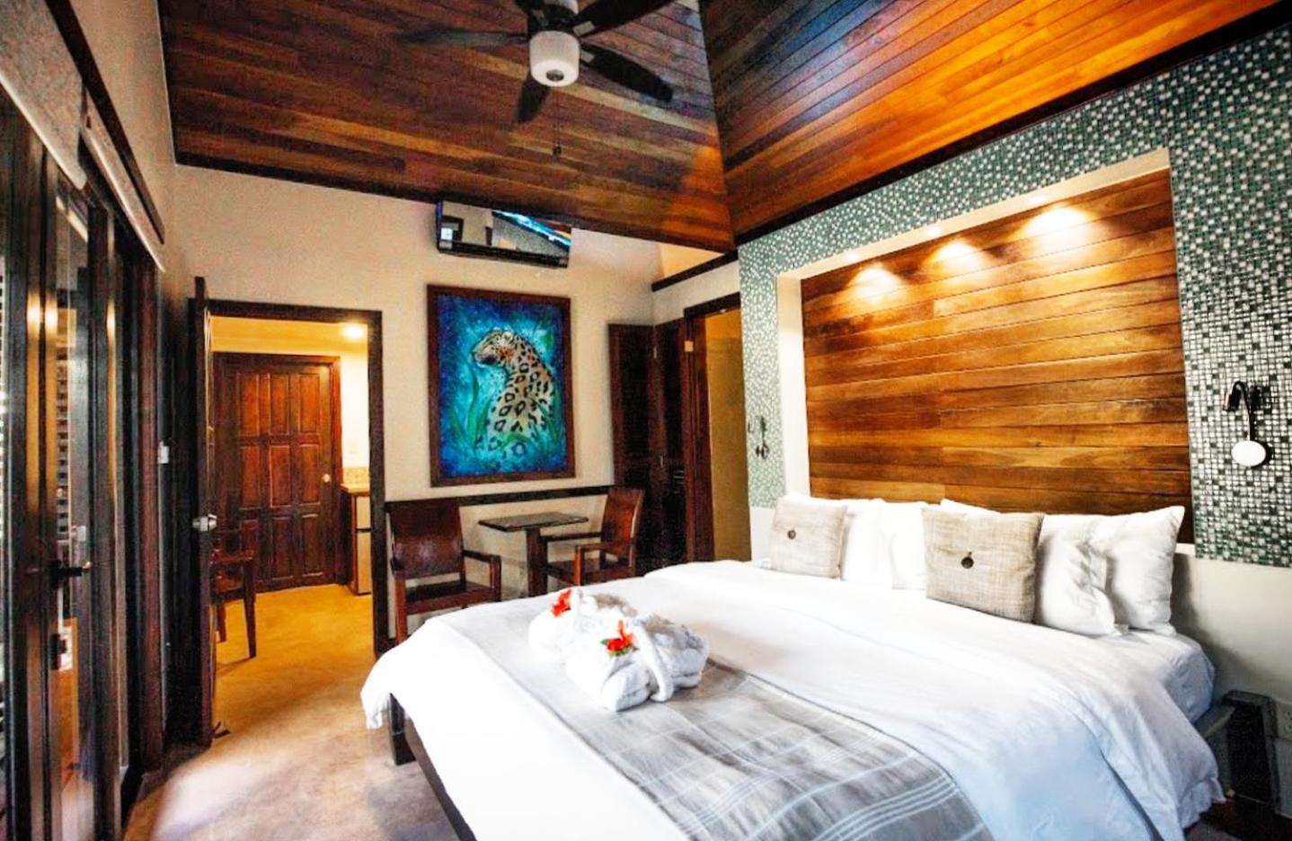 Deluxe King Suite photo 3