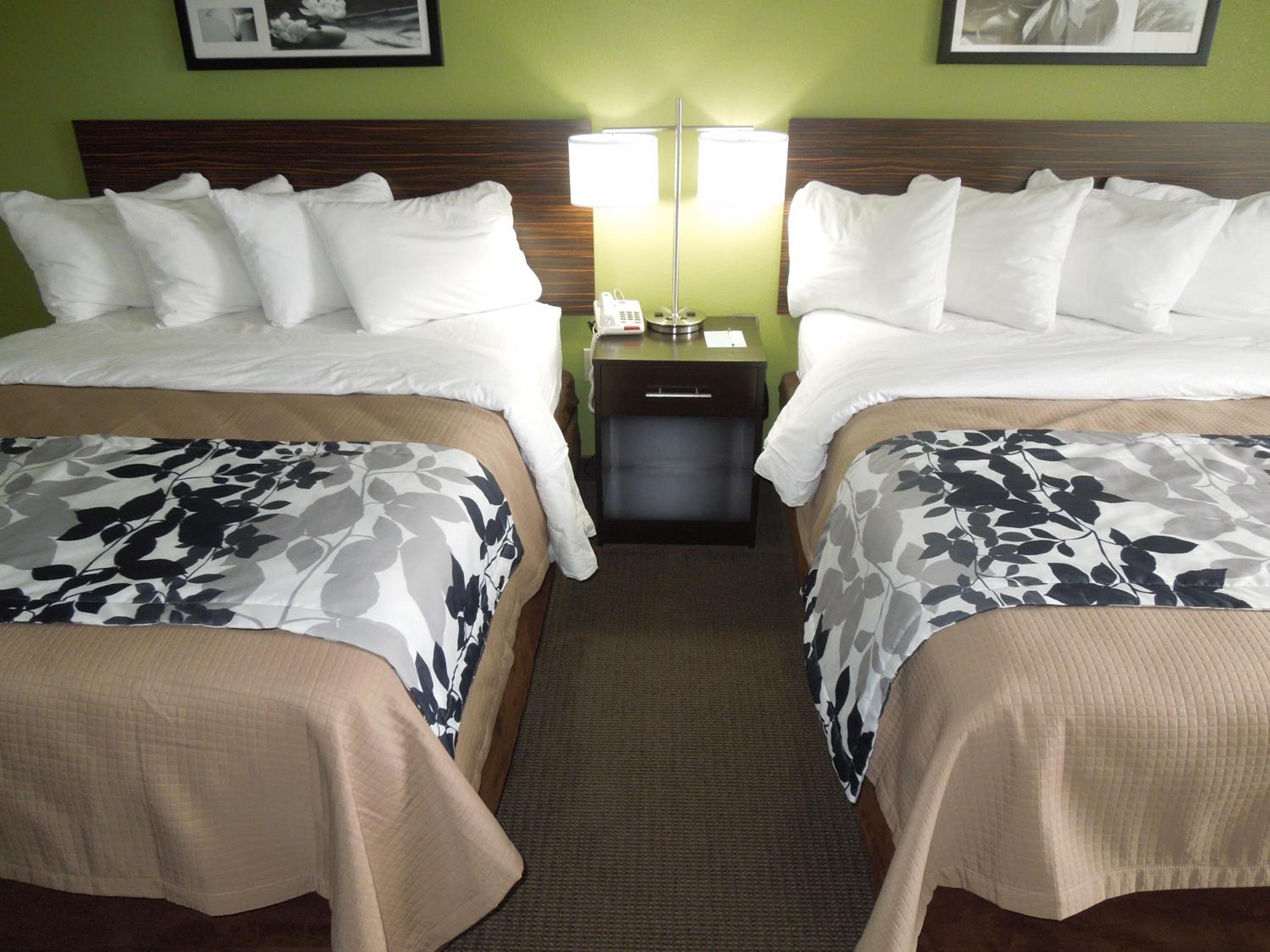 Queen Room with Two Queen Beds - Non-Smoking photo 2