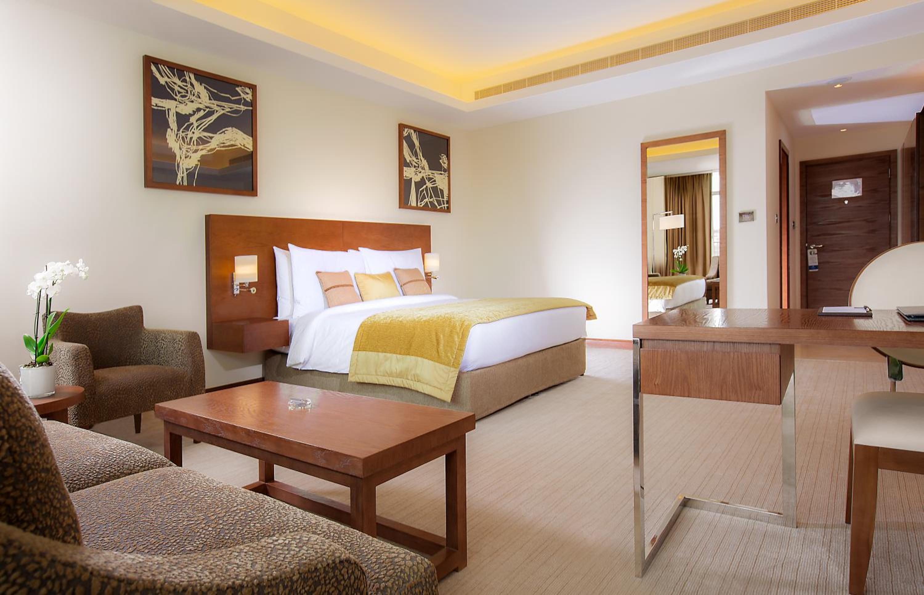 Junior Suite - Photo 1
