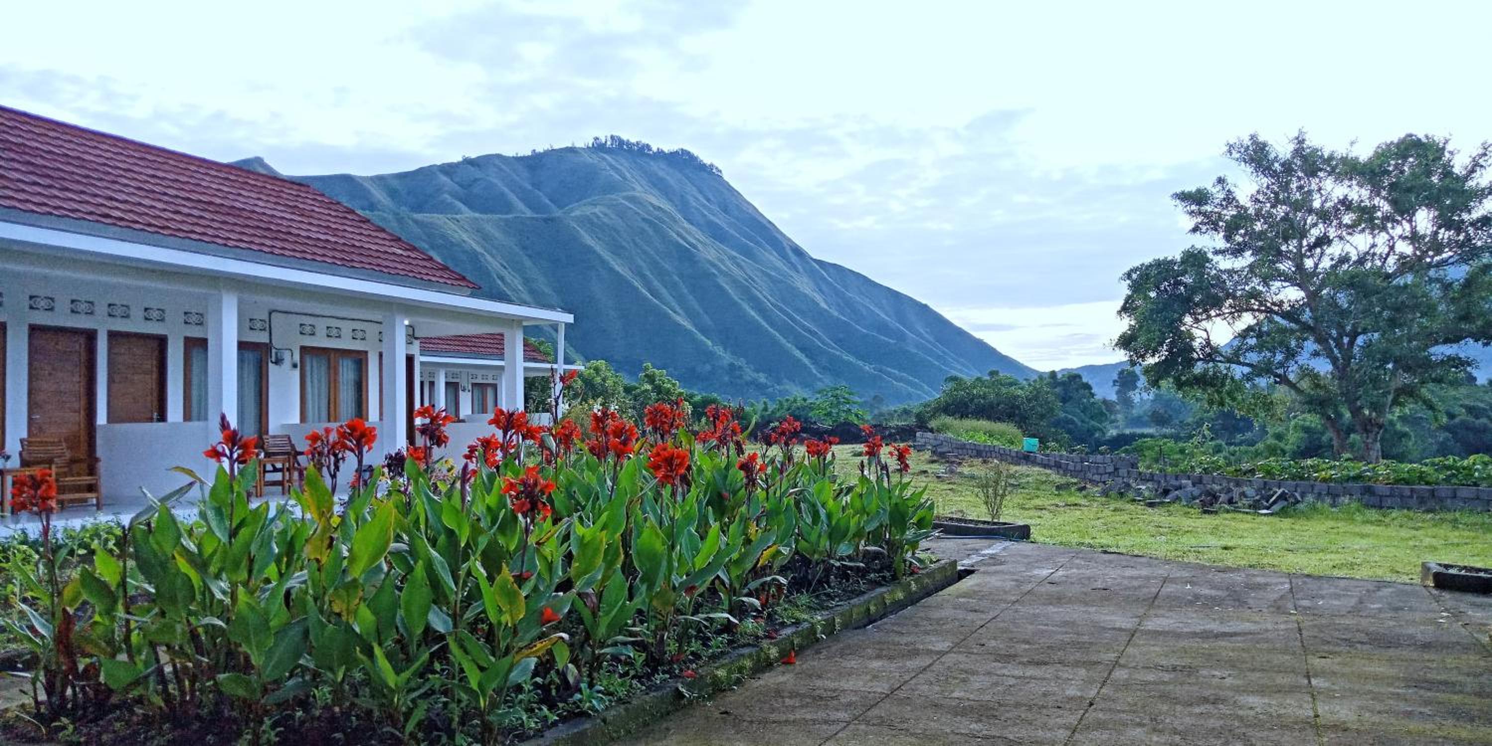 Twin Room with Mountain View - Photo 3