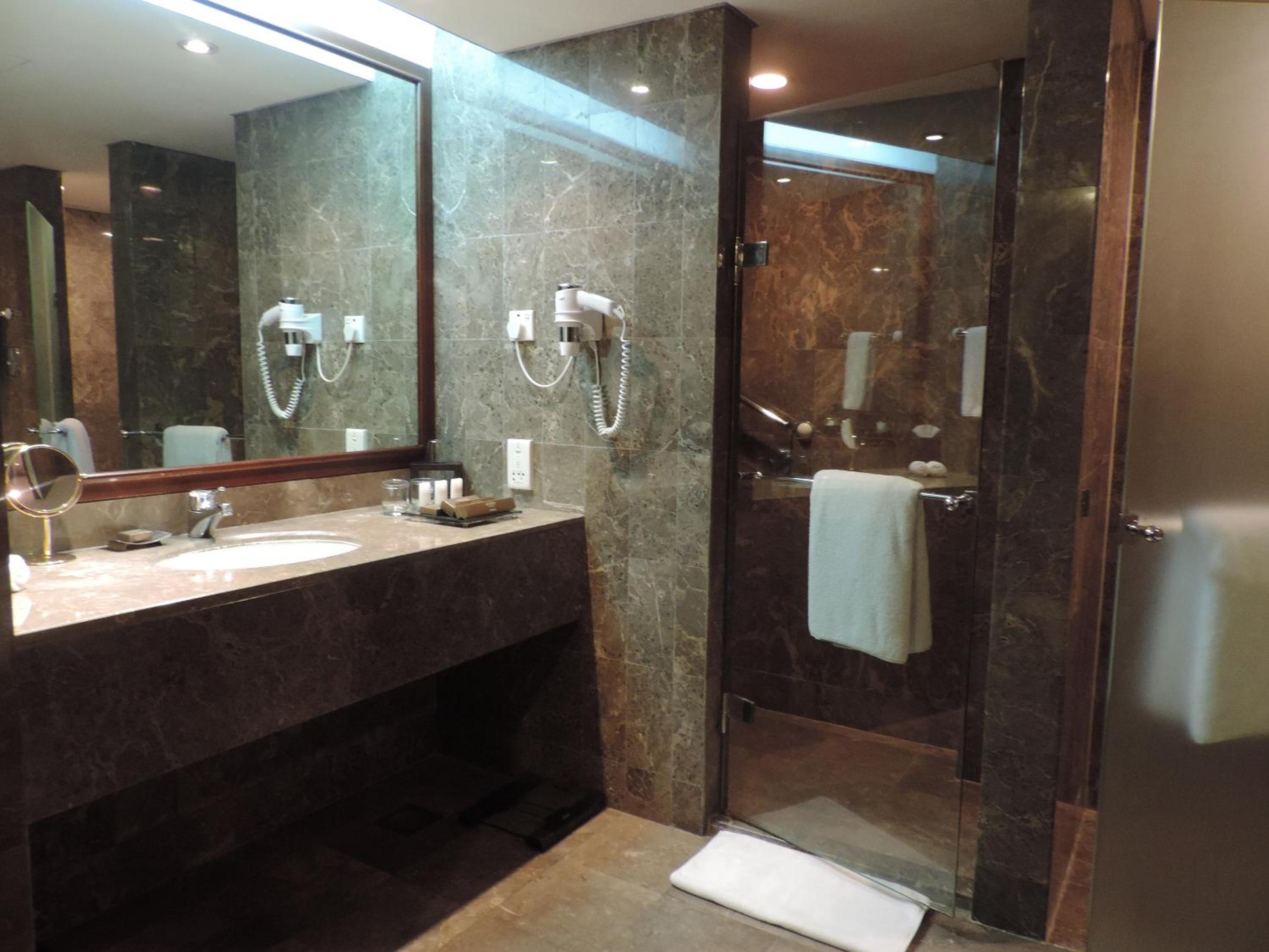 Ambassador Suite - Photo 6