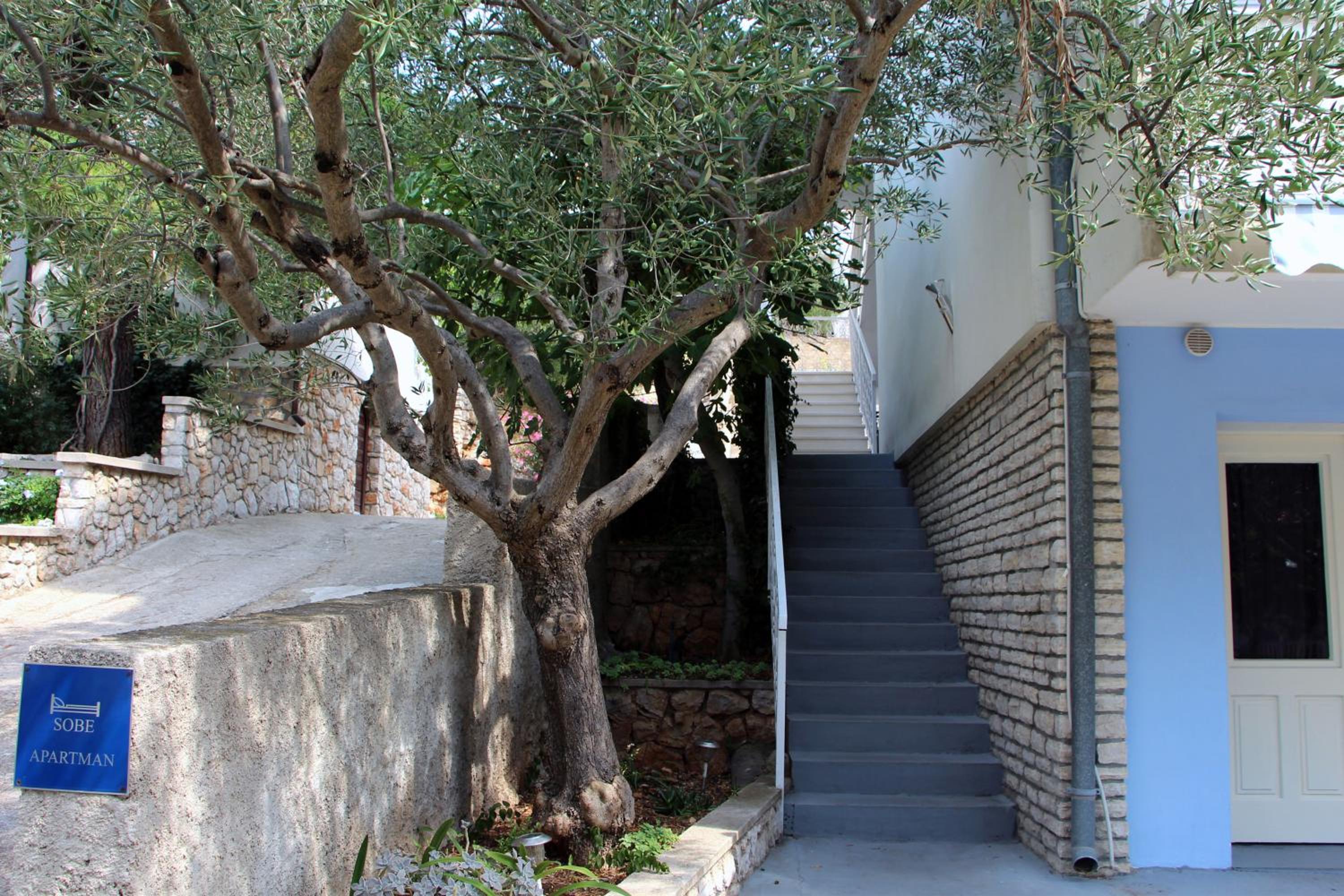 Apartment with Sea View photo 2