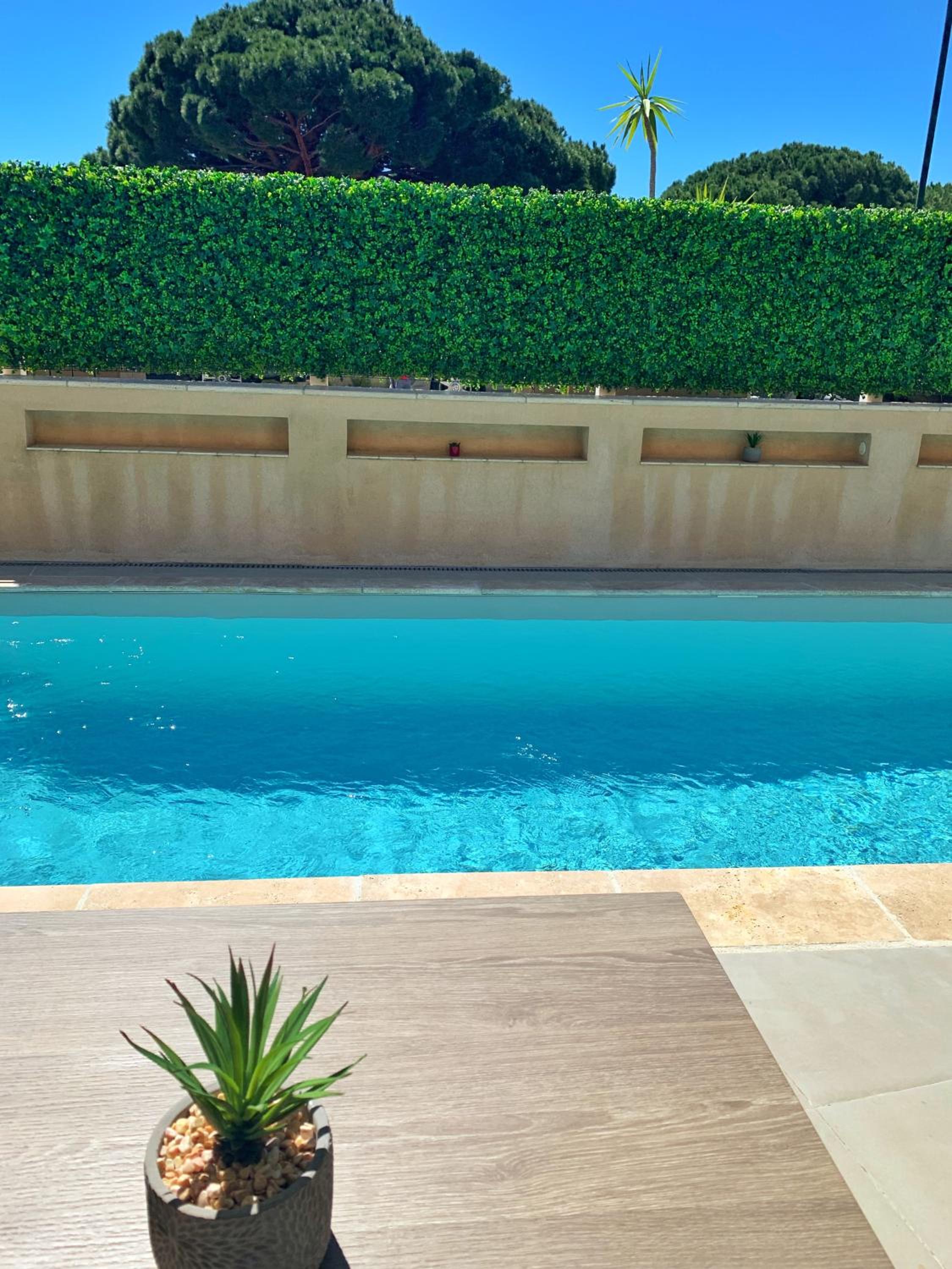 King Room with Pool View photo 3