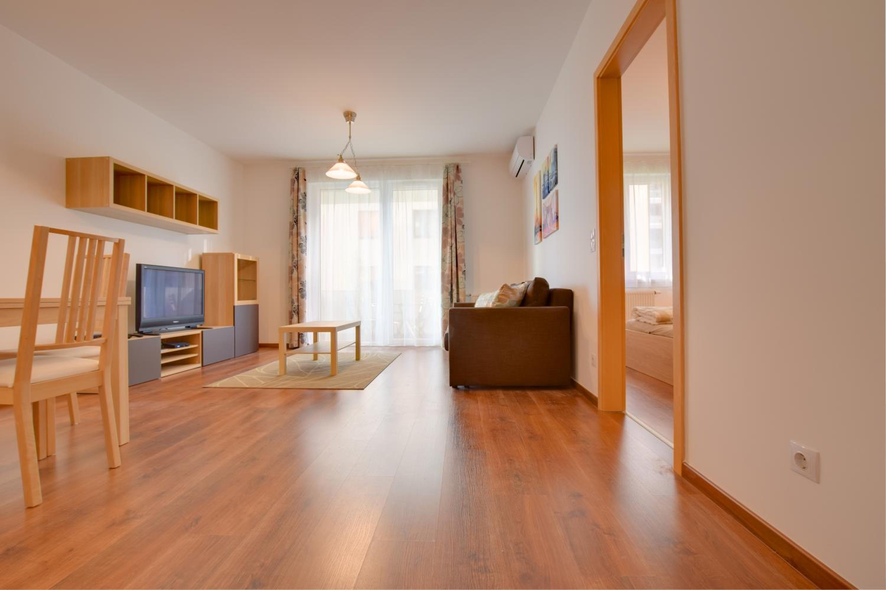 Deluxe One-Bedroom Apartment