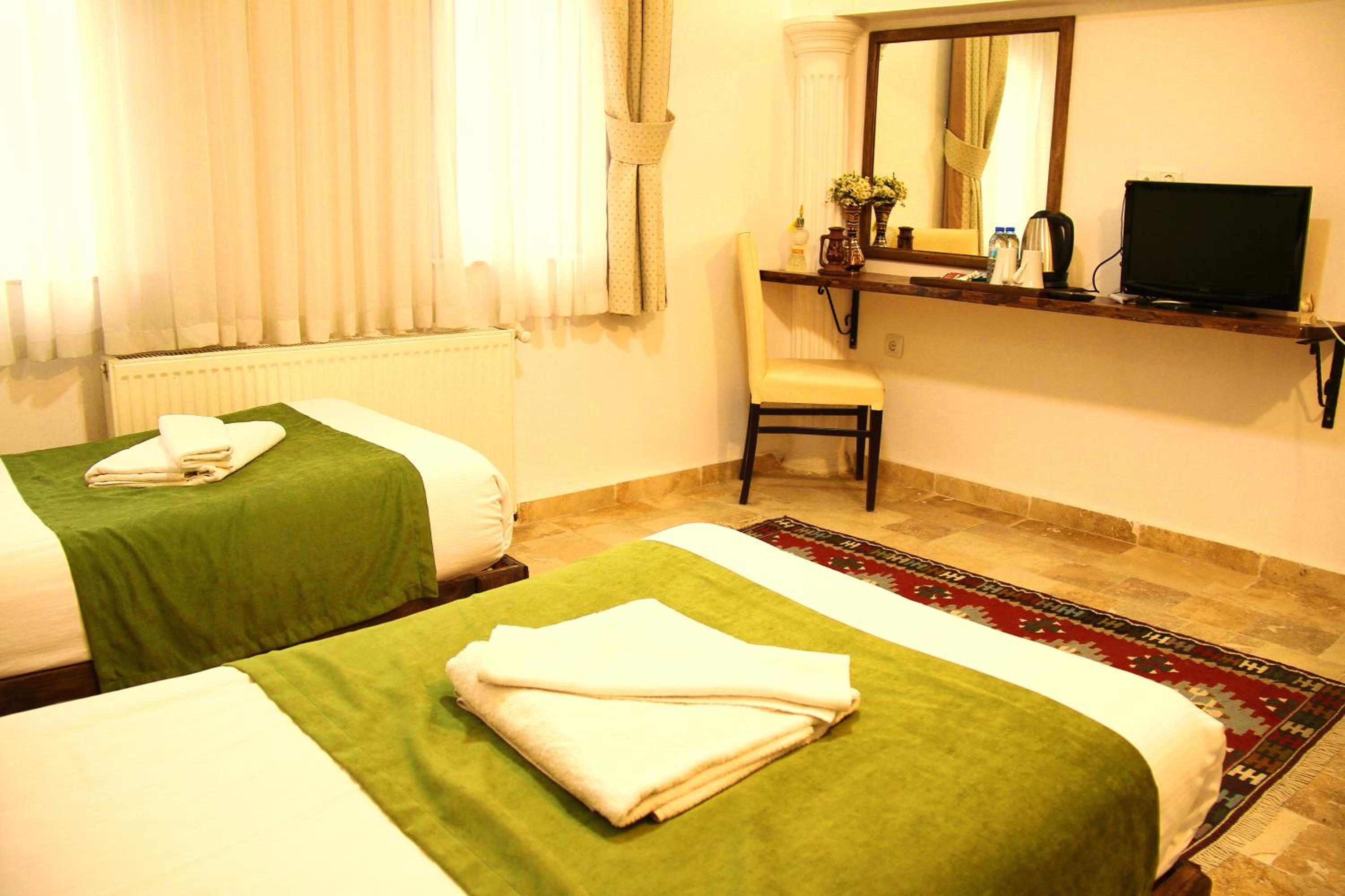 Double or Twin Room photo 3