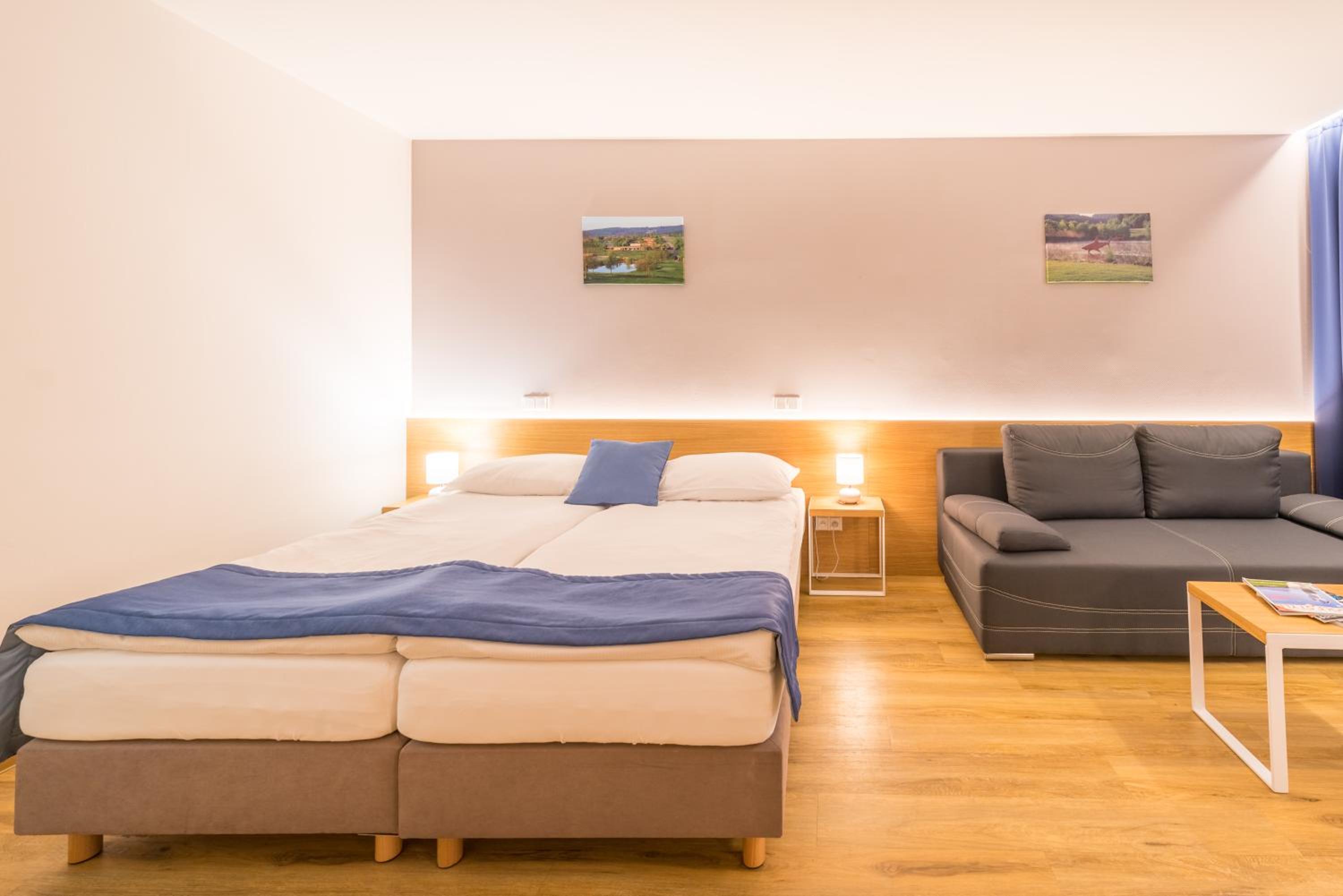 Deluxe Double Room or Twin Room - Photo 4