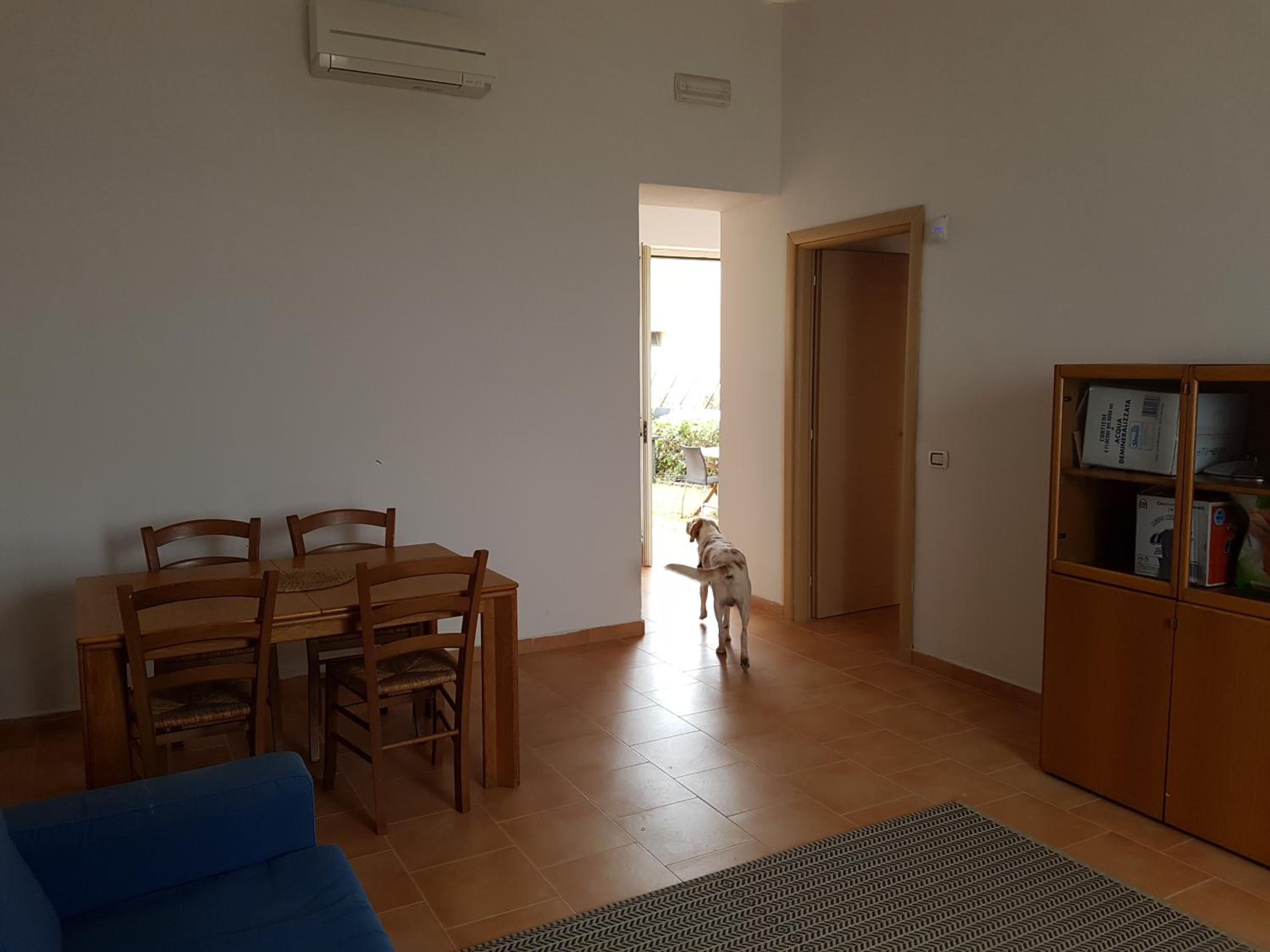 One-Bedroom House photo 1