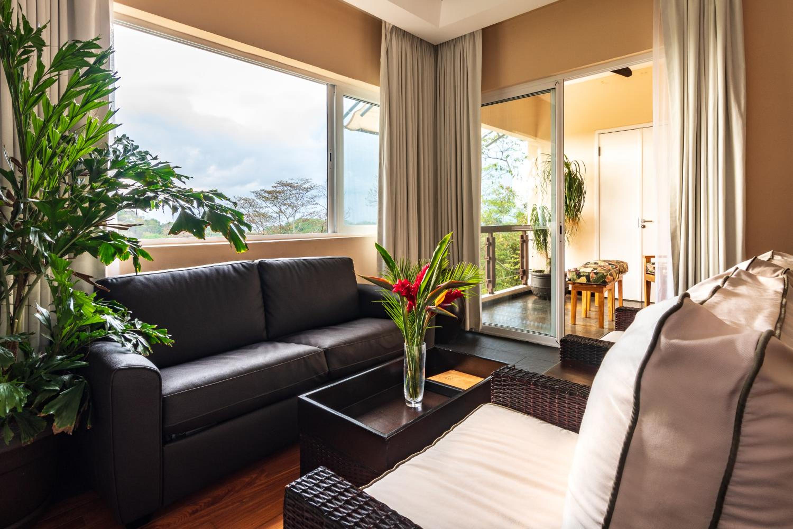 Suite - Photo 3