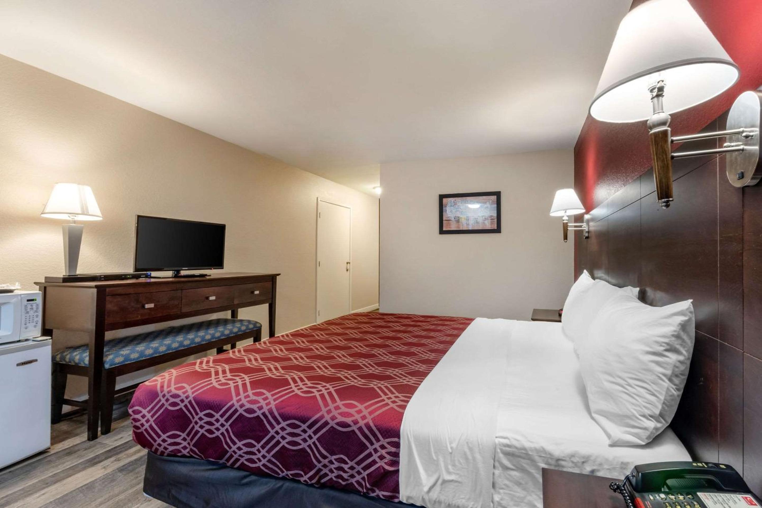 King Room photo 1