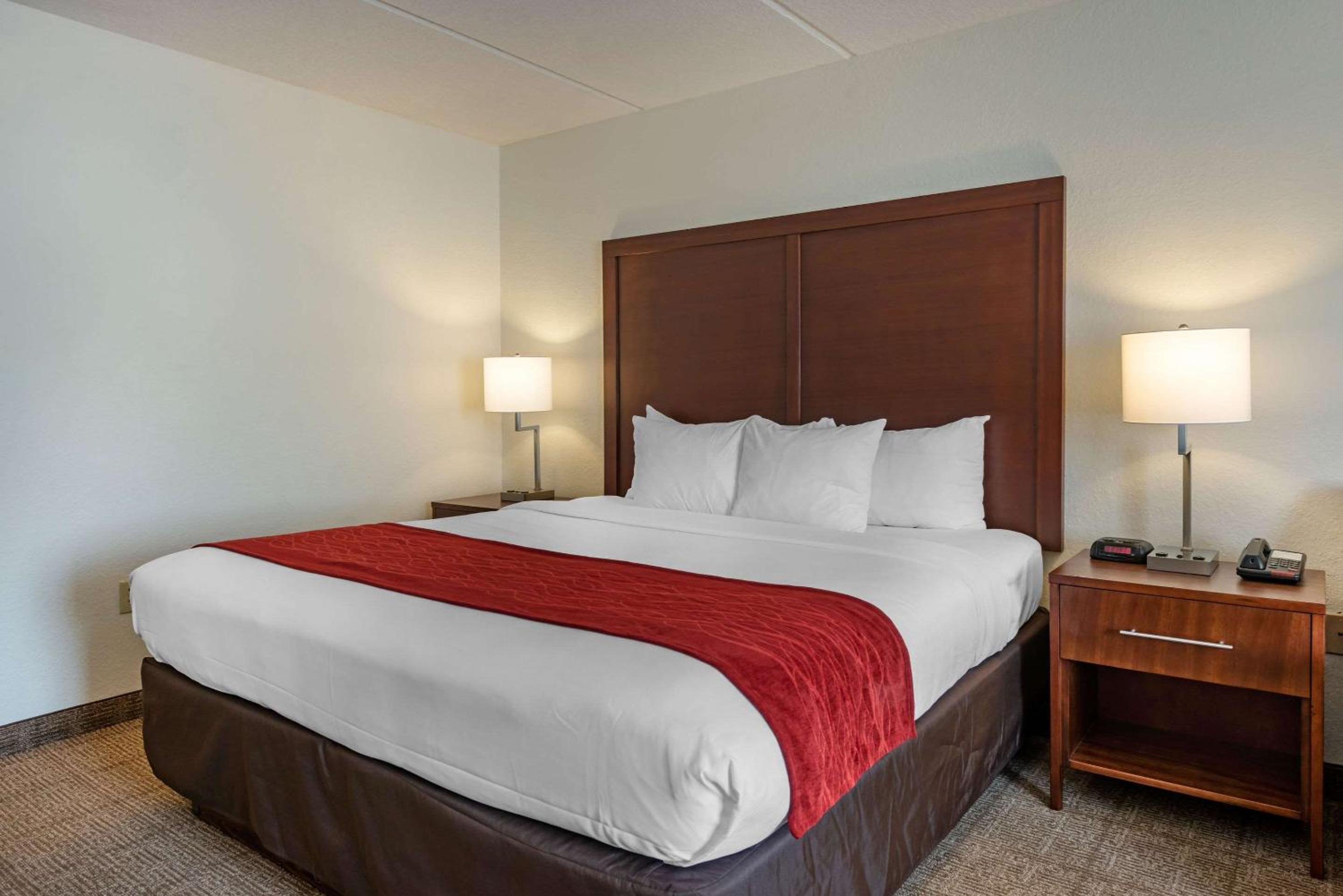 Standard King Room - Non-Smoking  - Photo 5
