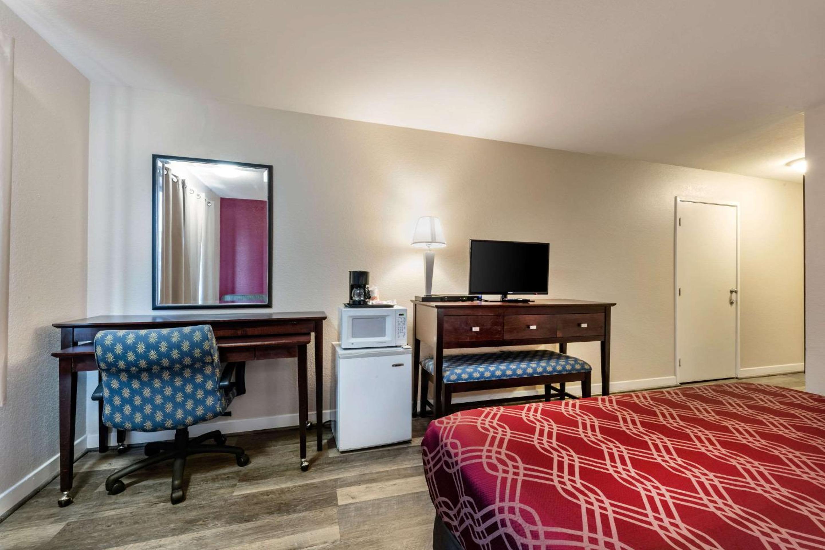 King Room photo 3