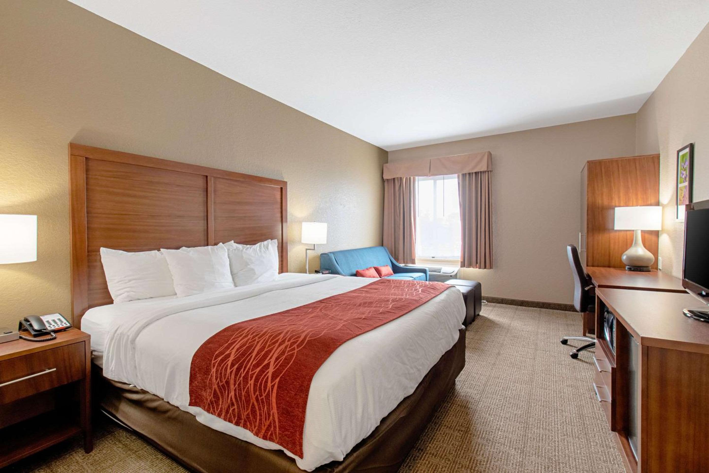 King Room - Non-Smoking - Photo 4