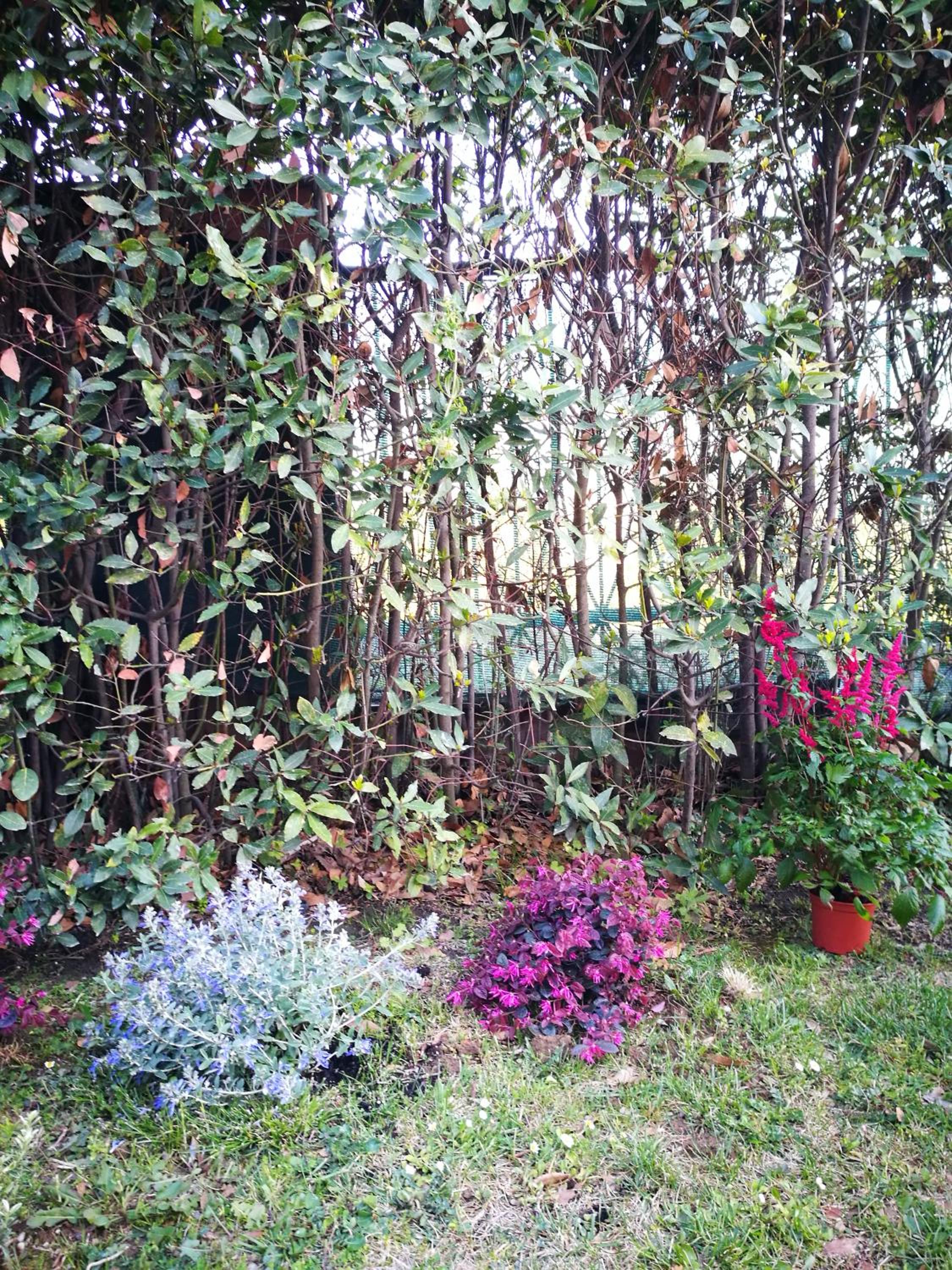Apartment - Ground Floor photo 2