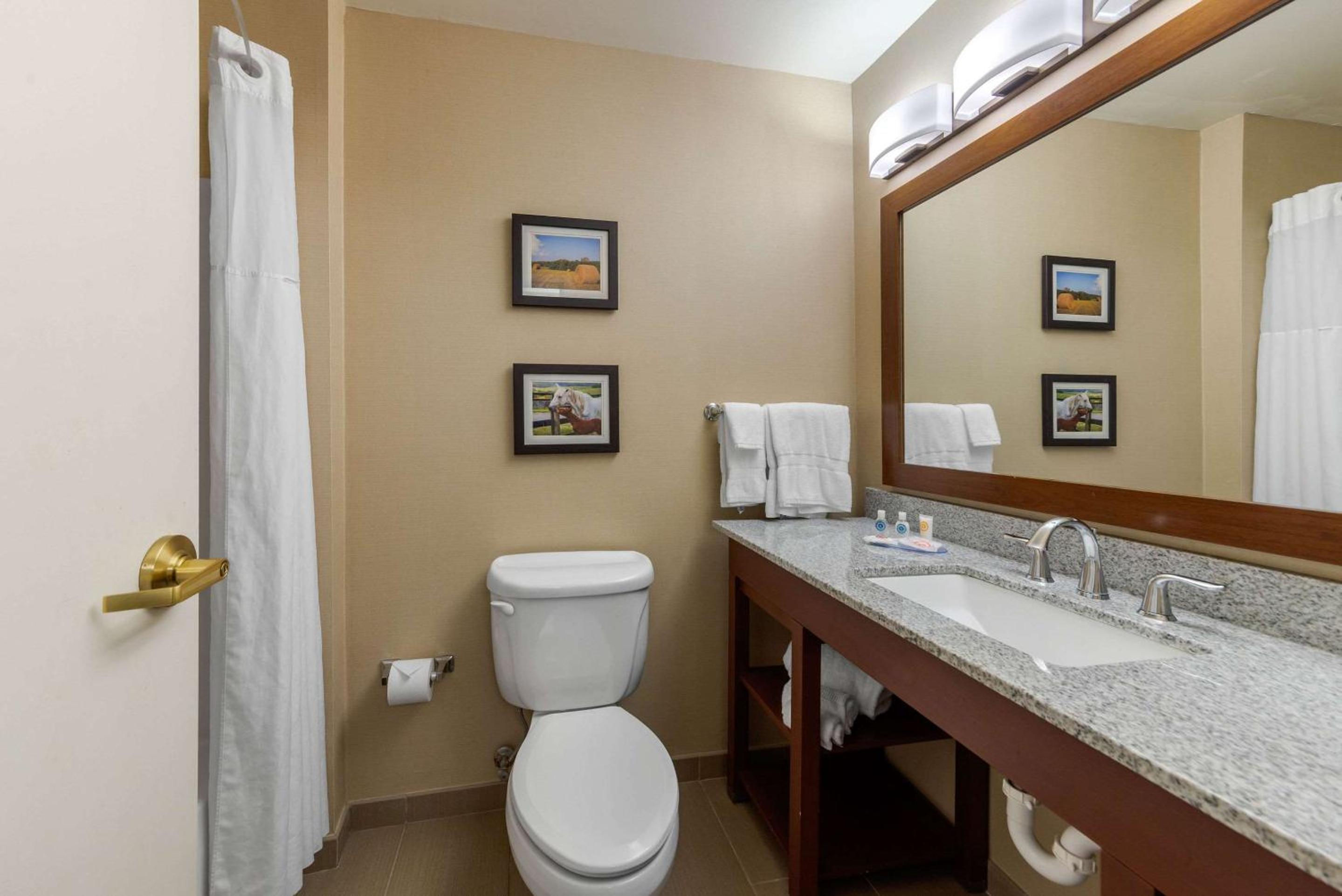 Queen Suite with Two Queen Beds and Sofa Bed - Photo 4