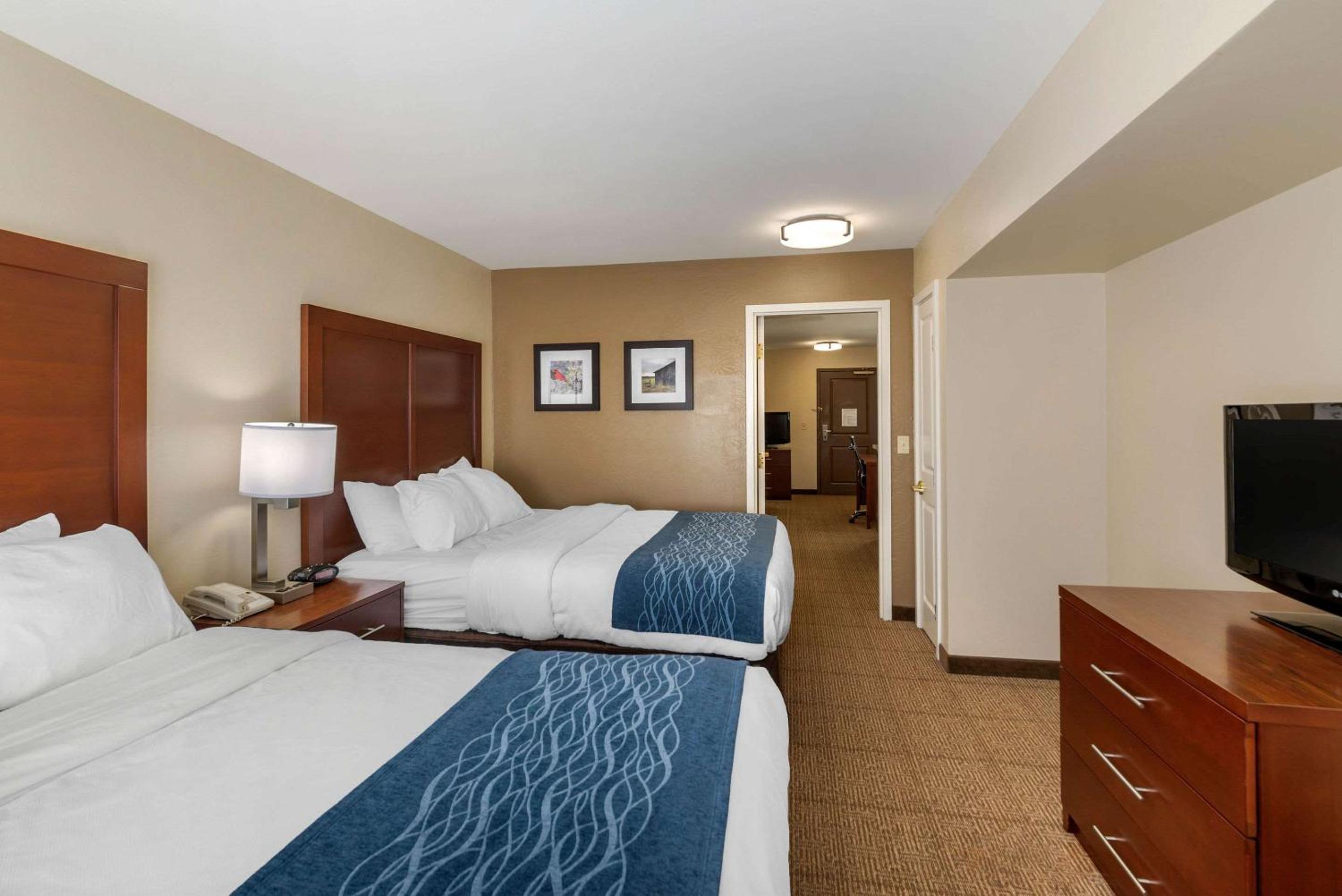 Queen Suite with Two Queen Beds and Sofa Bed - Photo 2
