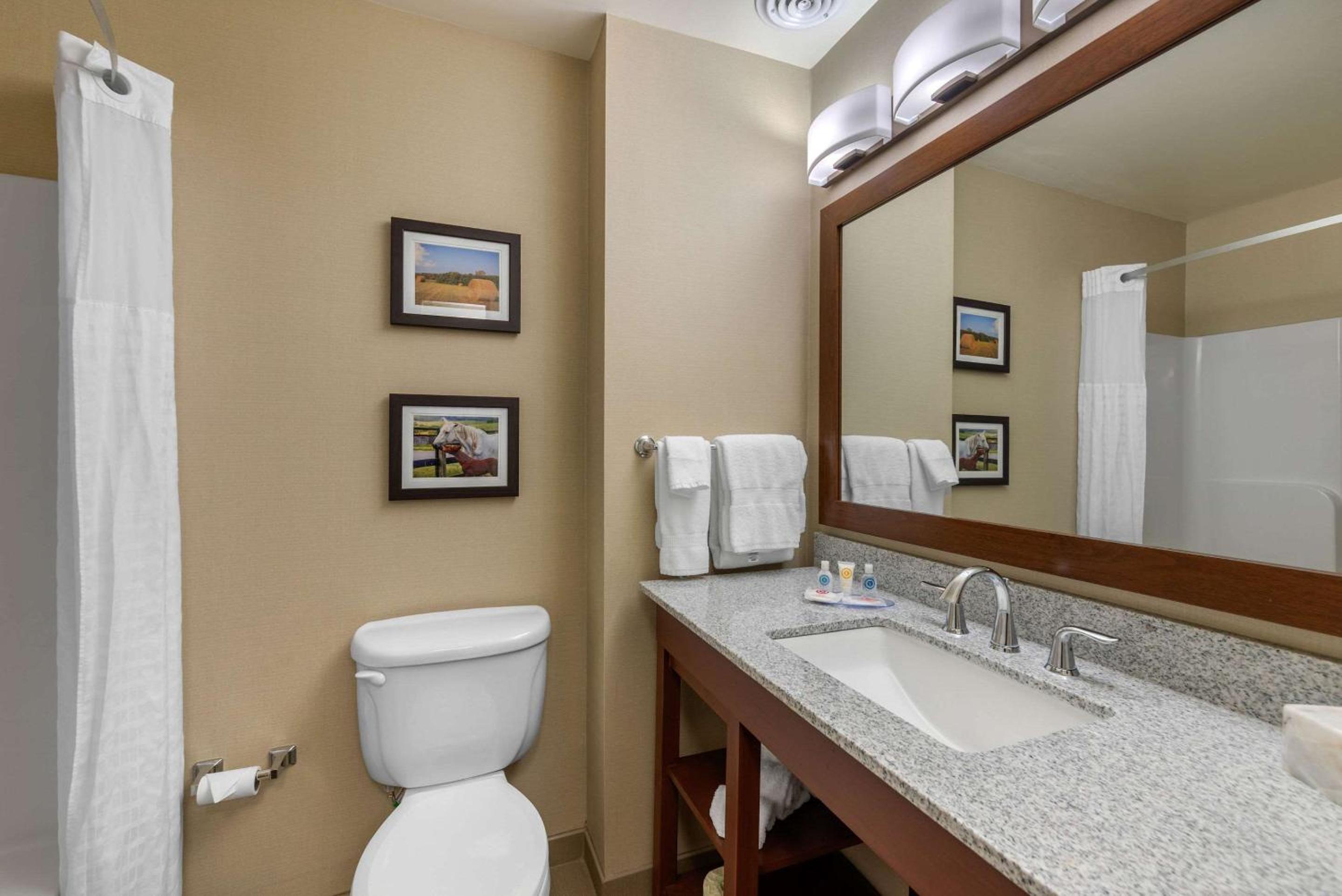 King Suite with Whirlpool - Non-Smoking - Photo 7