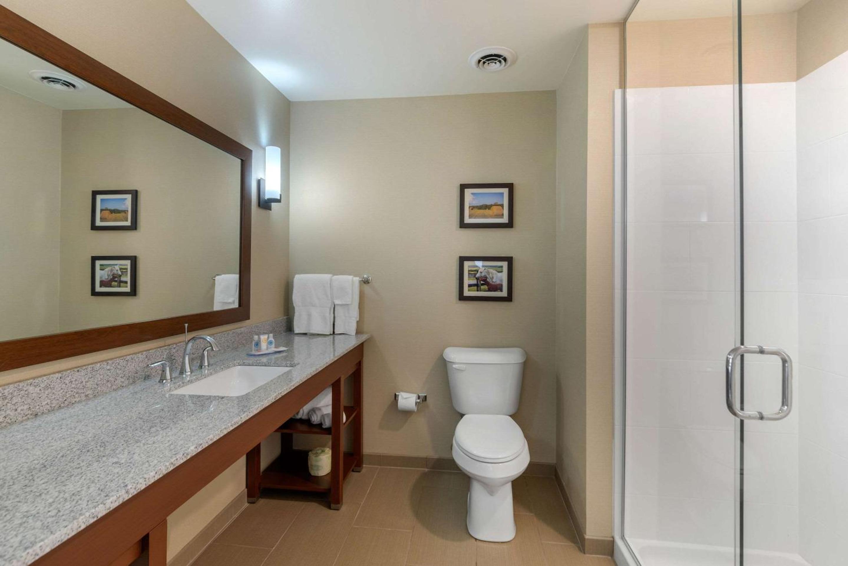 King Suite - Non-Smoking - Photo 4