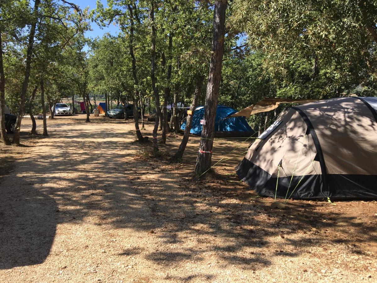 Empty lot photo 2