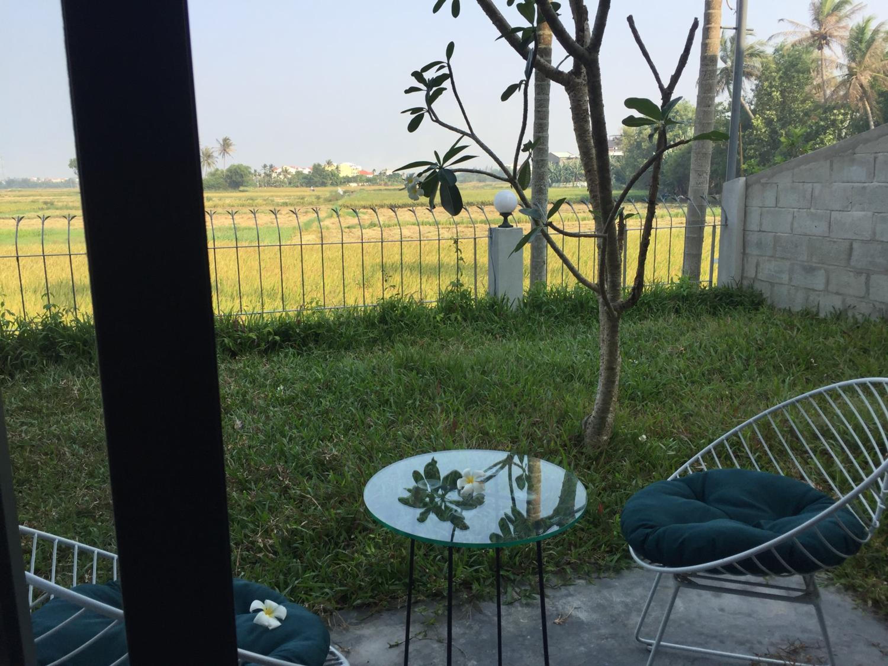 Deluxe Double or Twin Room Private Garden - Photo 3