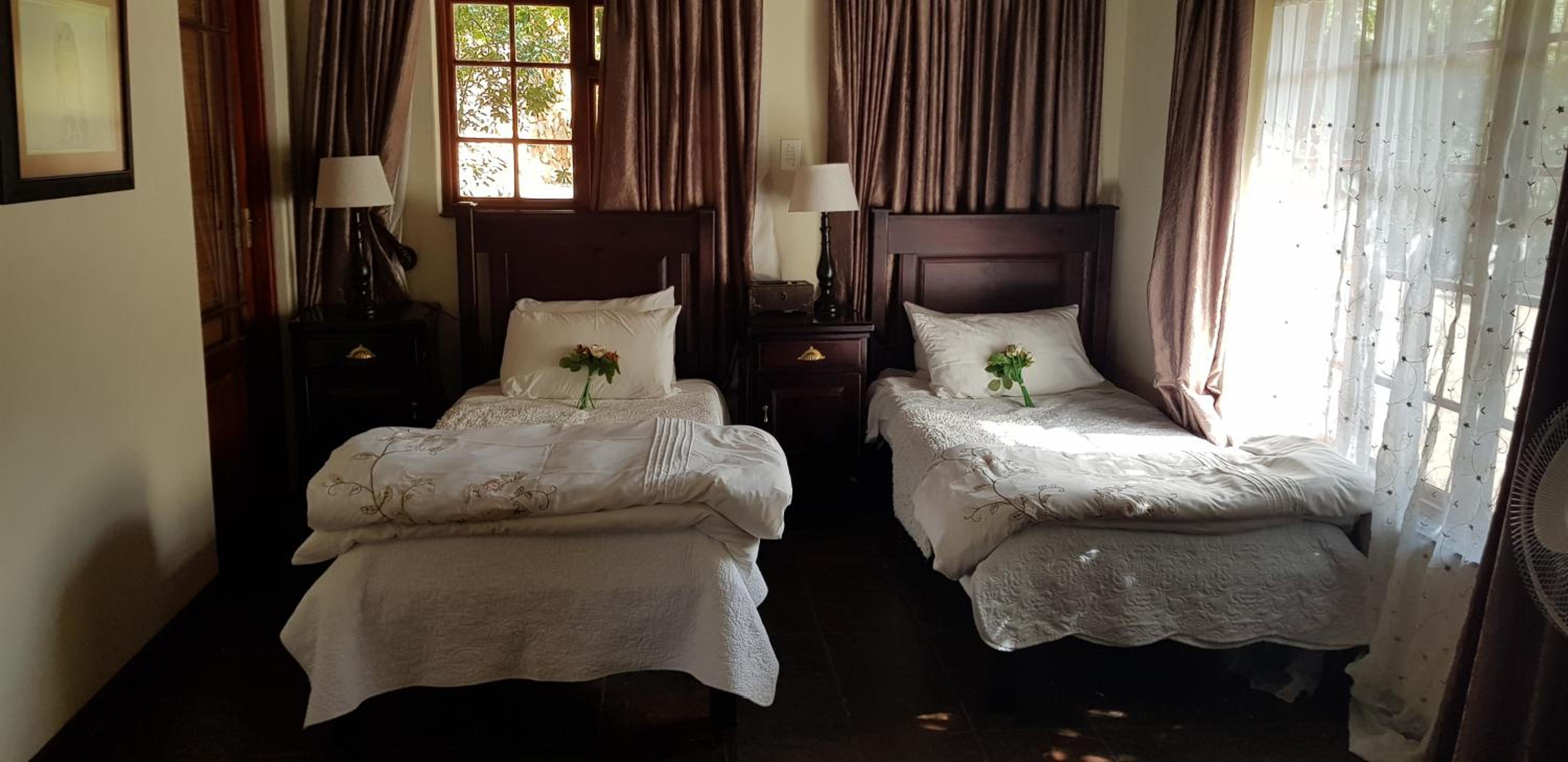Swainson Standard Suite photo 1