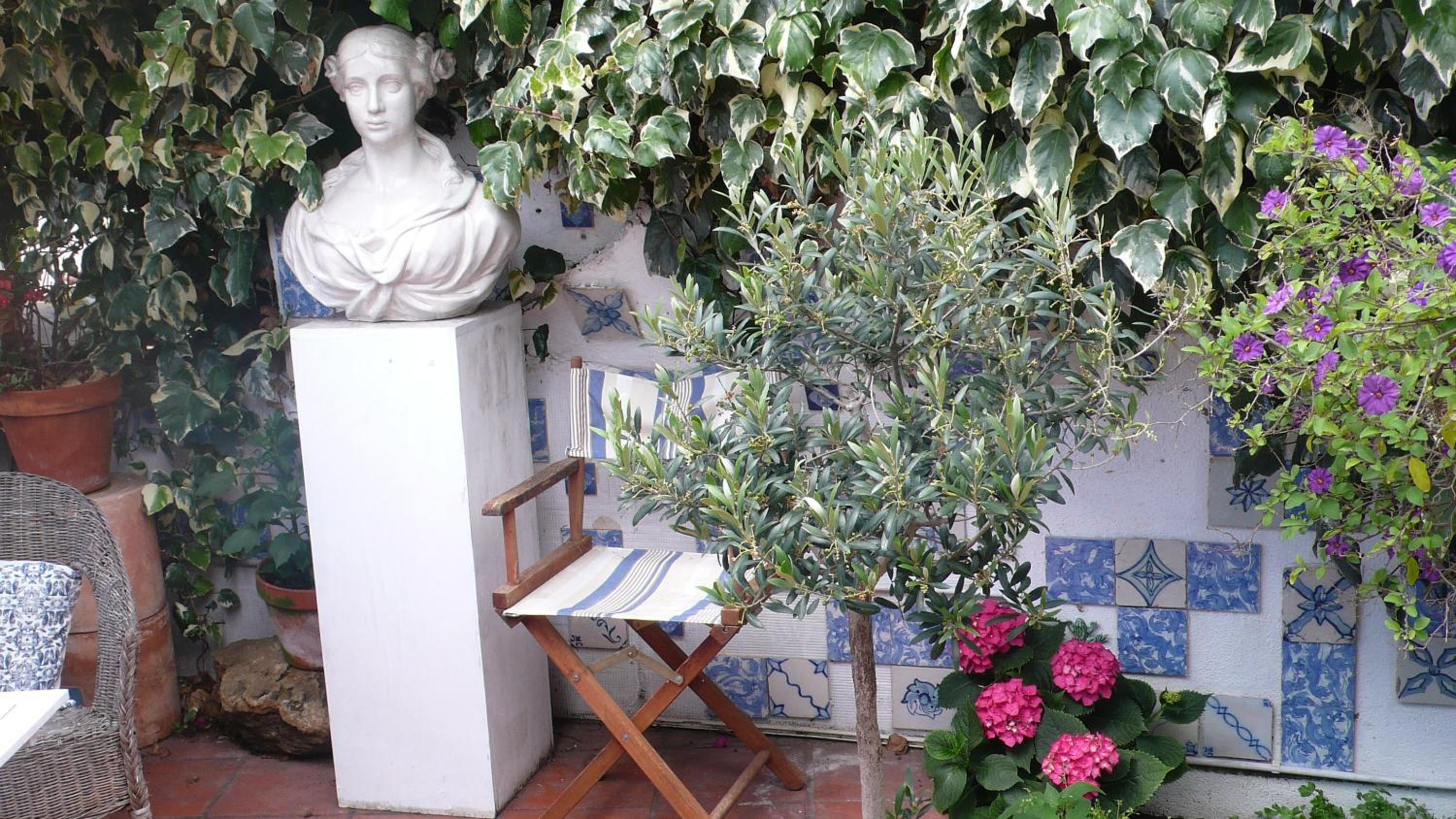 Studio with Terrace photo 3