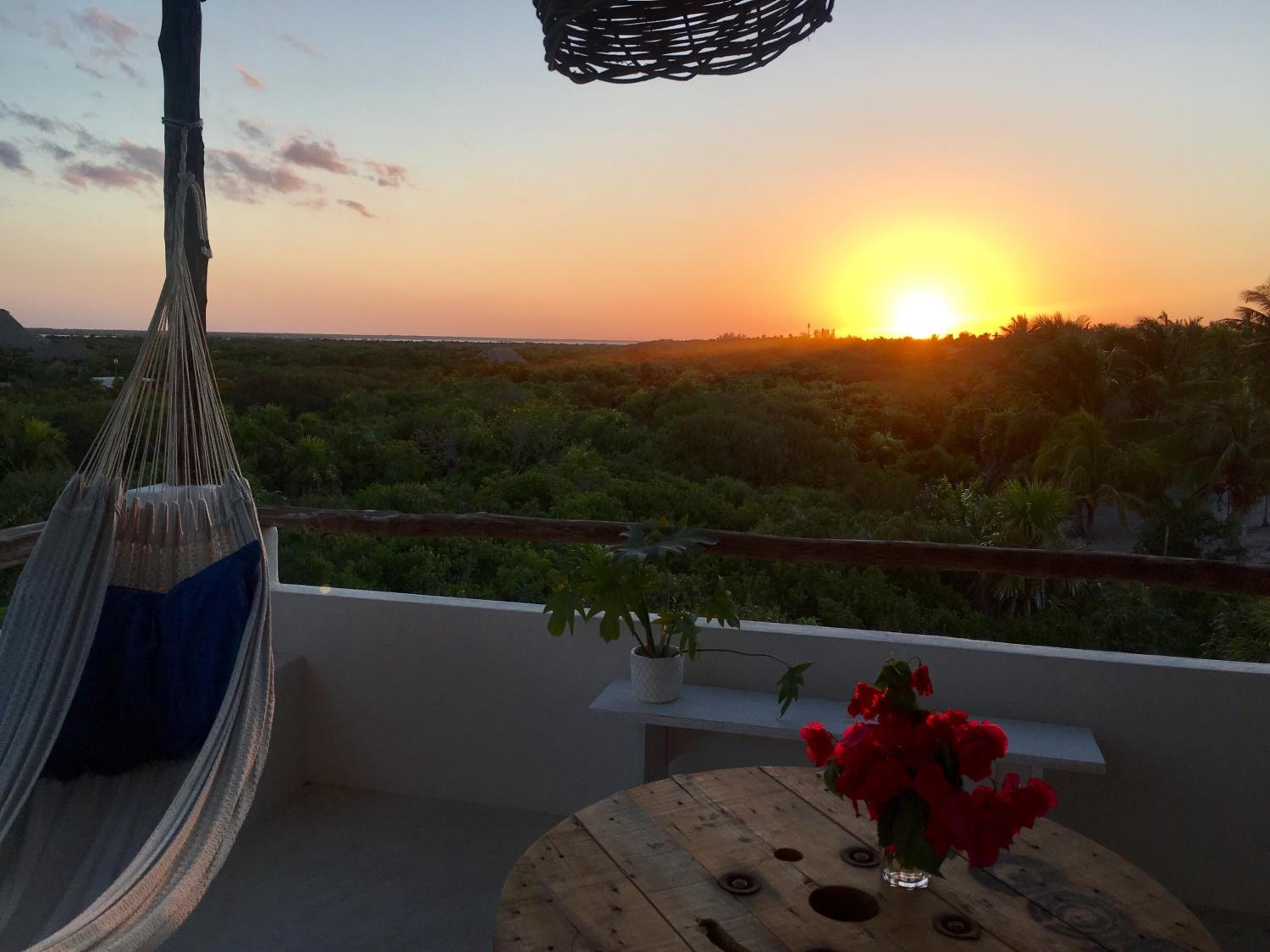 Superior Suite with Jungle View - Photo 5