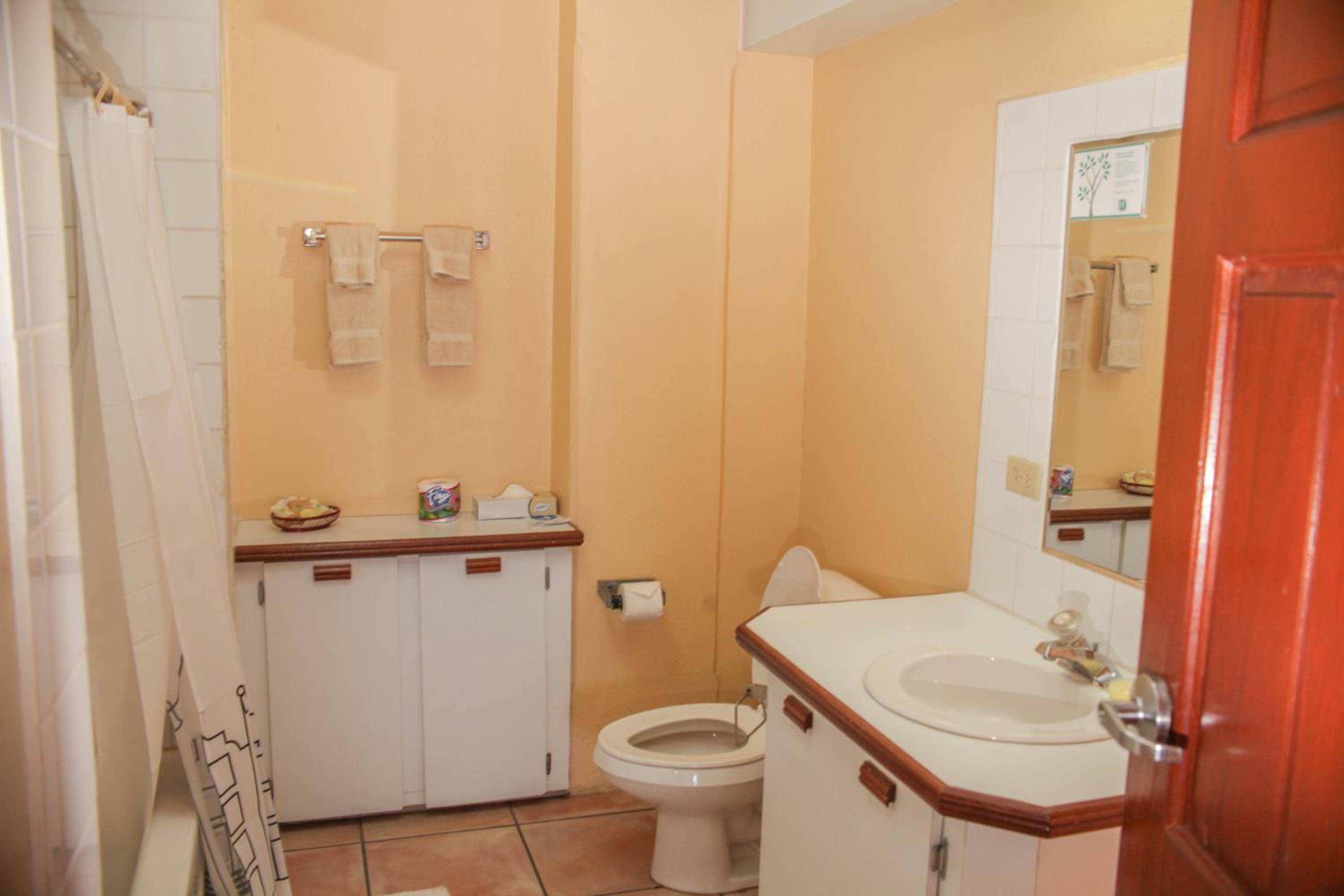 King Suite With Sofa Bed