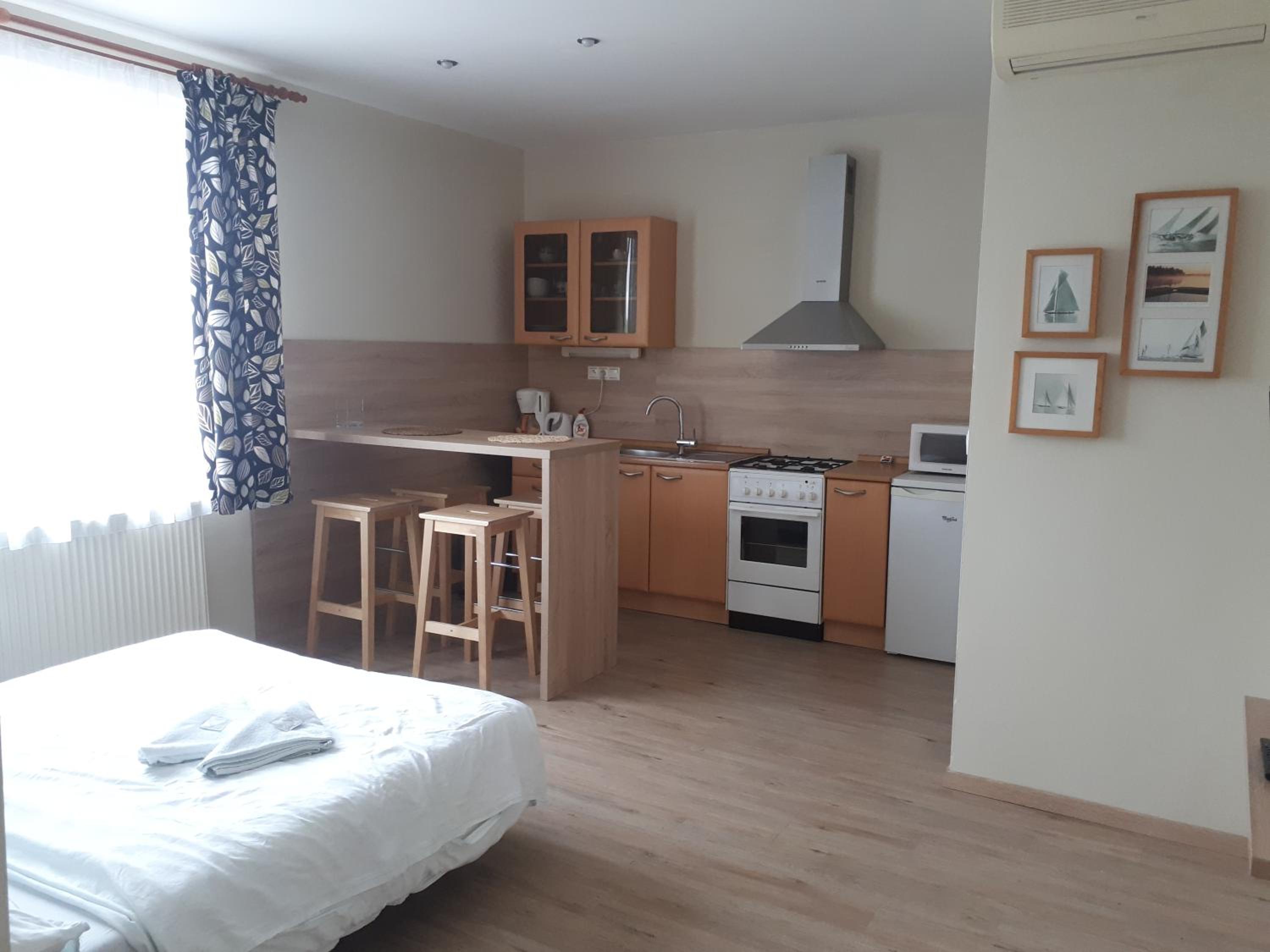 Superior One-Bedroom Apartment - Photo 3