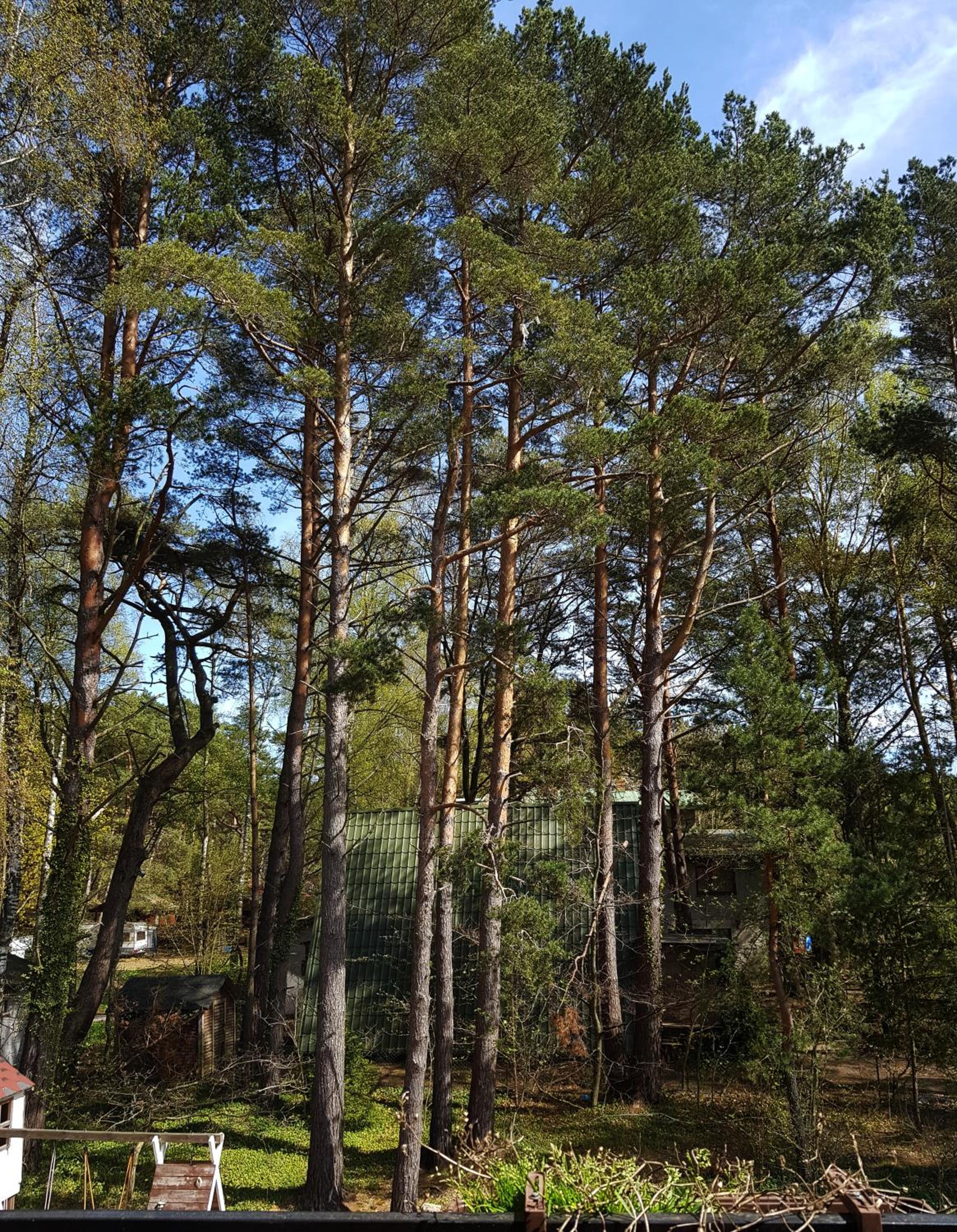 Triple Room with Balcony photo 1
