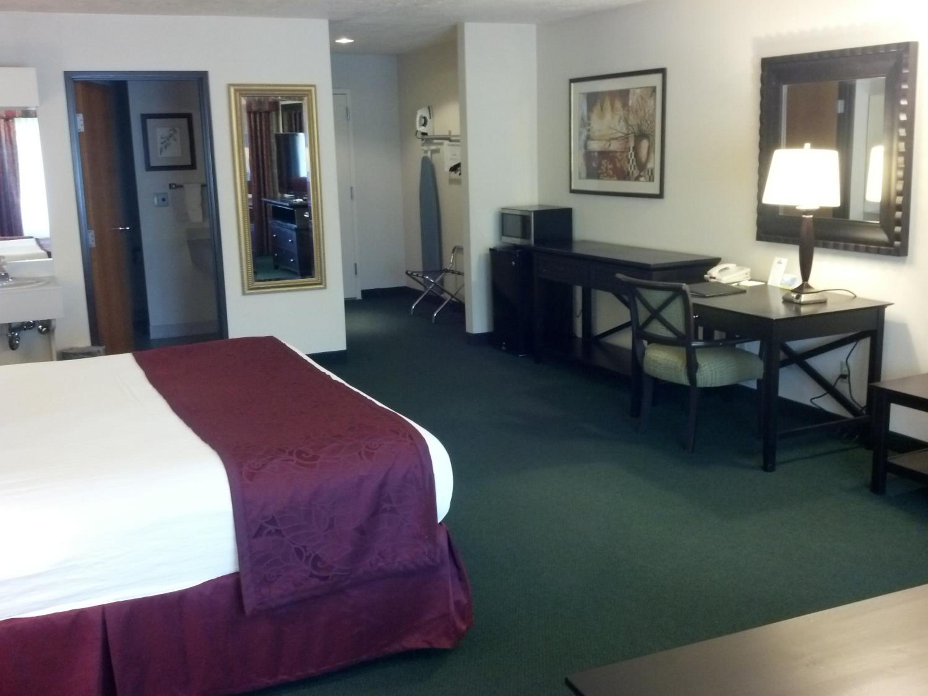 Deluxe King Studio Suite - Non-Smoking - Photo 3