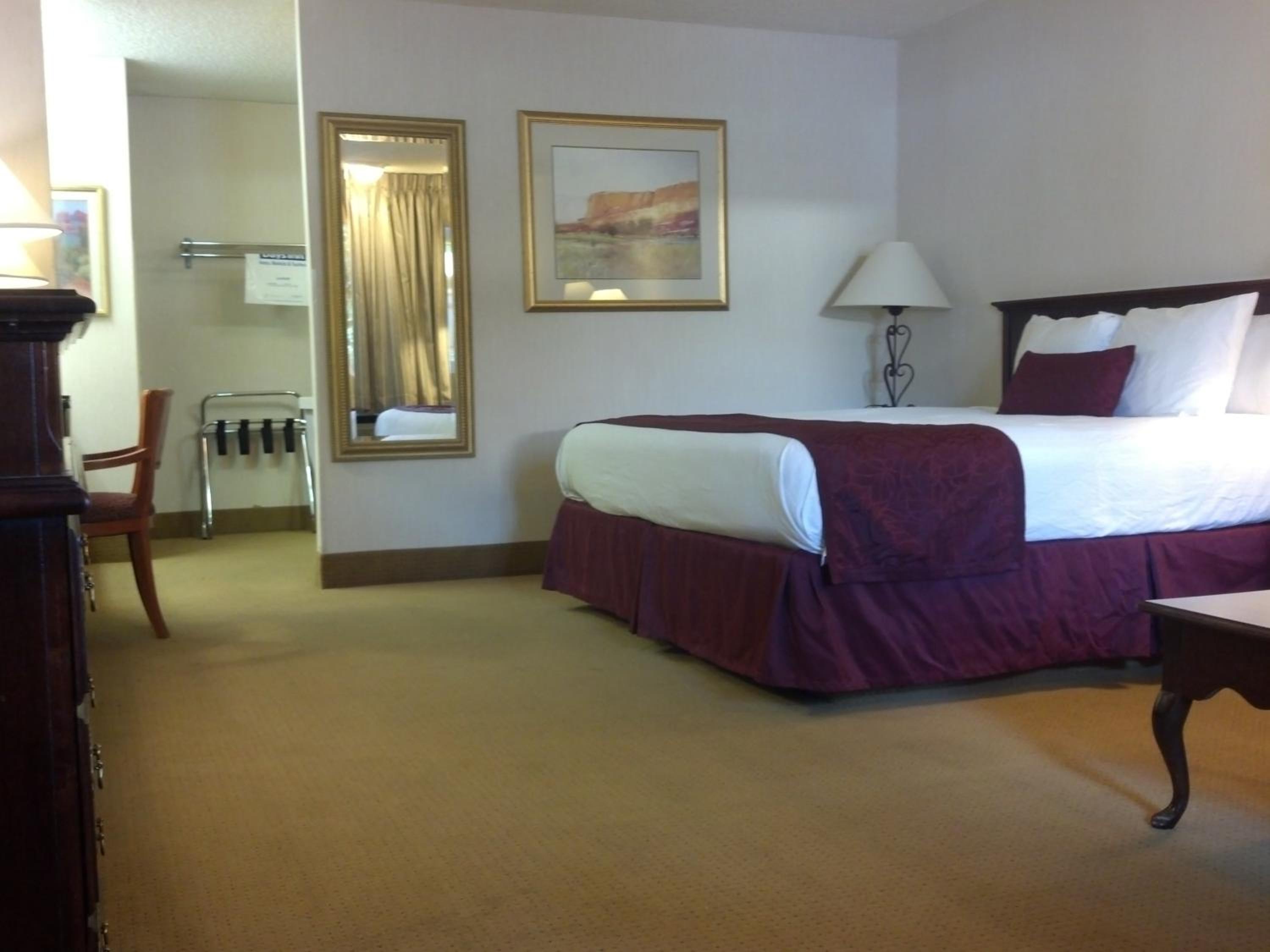 Deluxe King Studio Suite - Non-Smoking - Photo 2