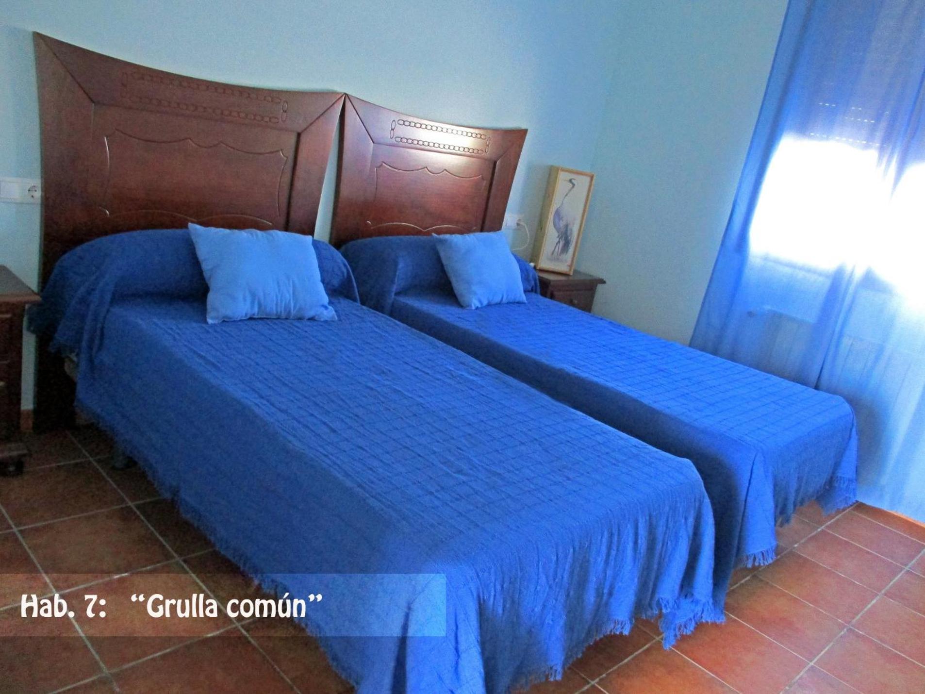 Habitación Doble