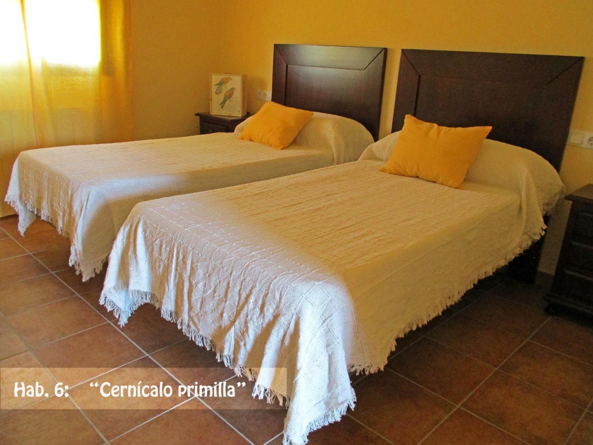 Habitación Doble