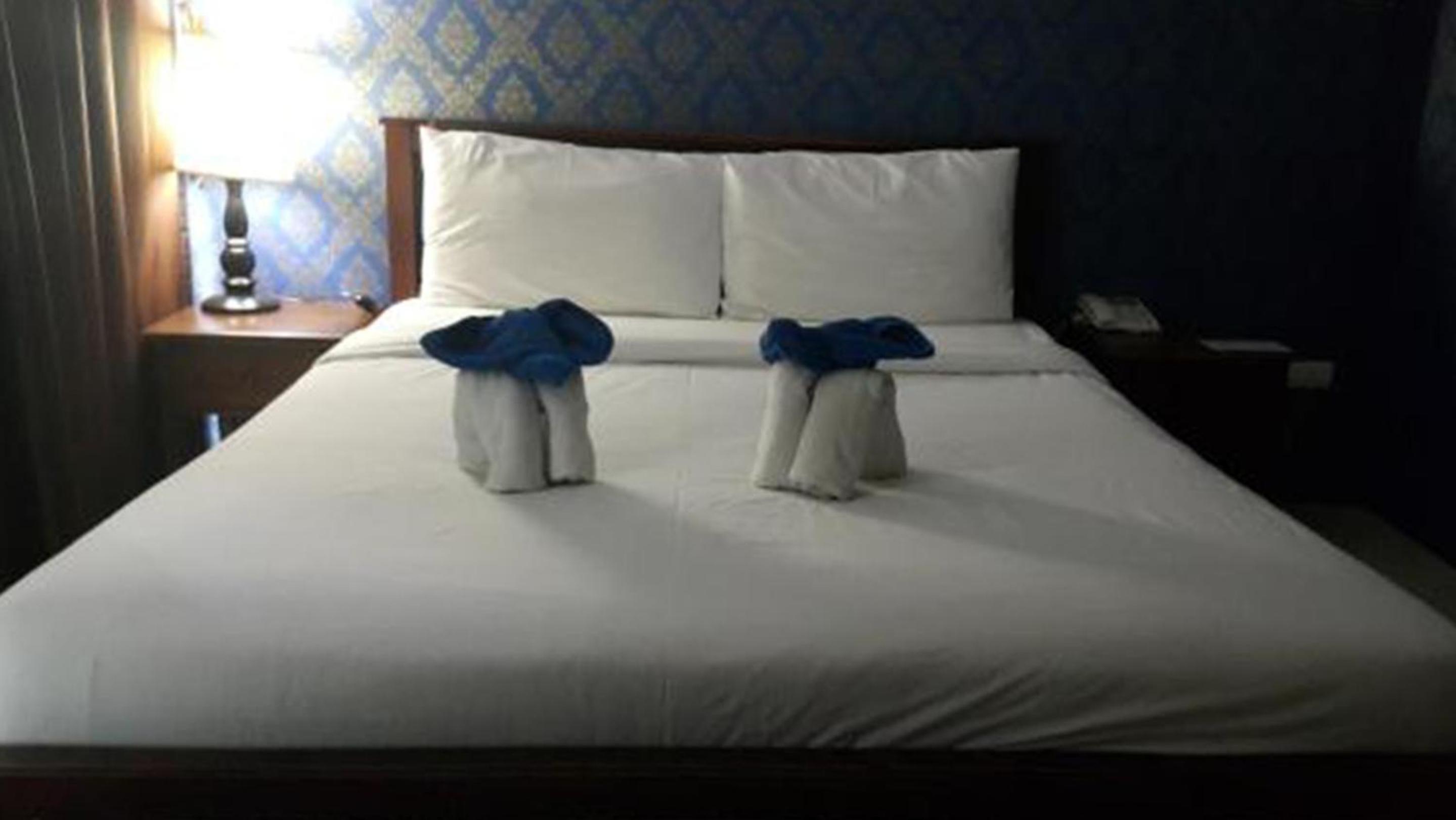Superior Double Room photo 3