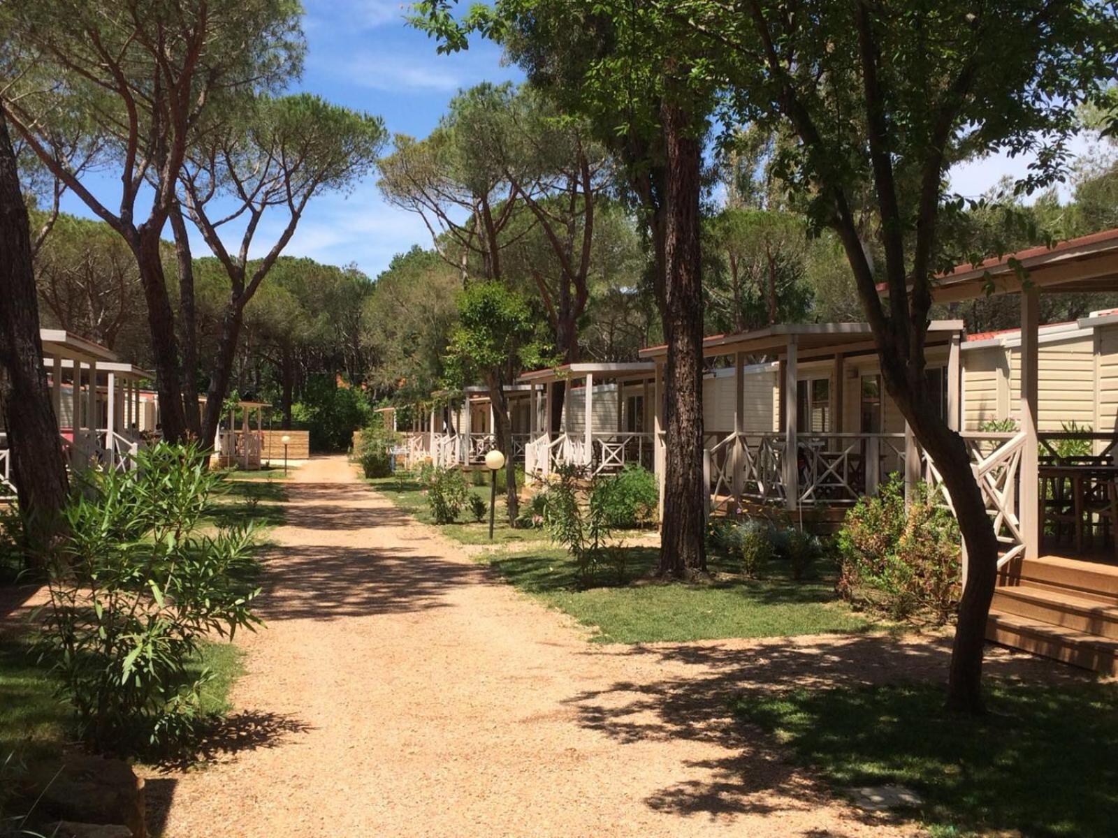 Mobile Home - Photo 5
