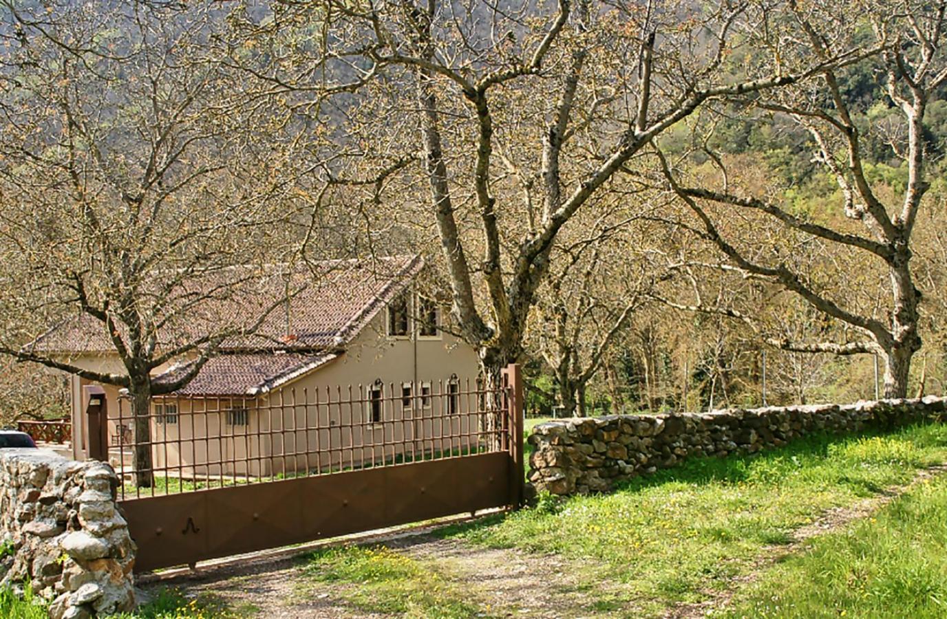 Superior Chalet photo 3