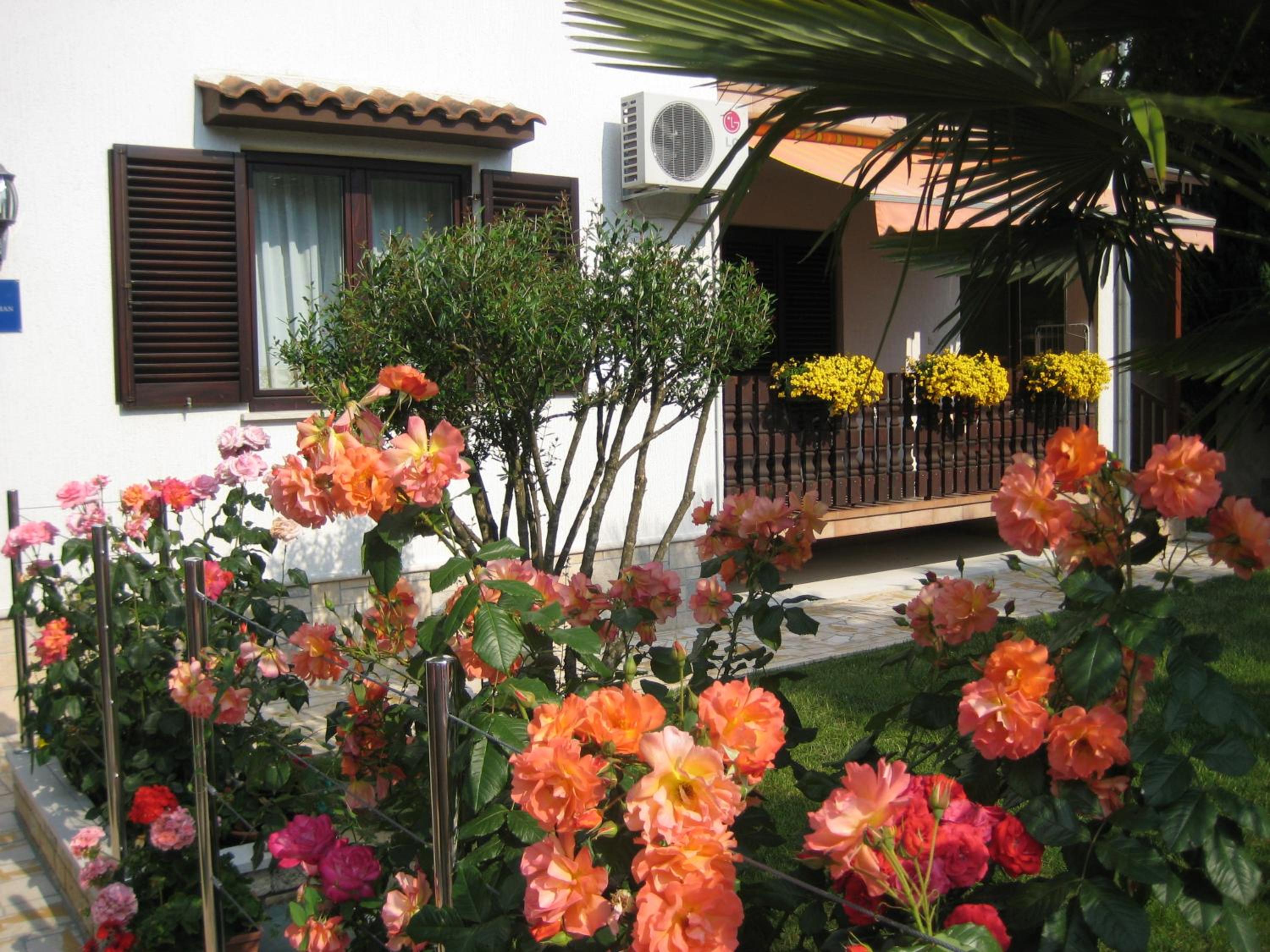 Apartment with Garden View photo 3