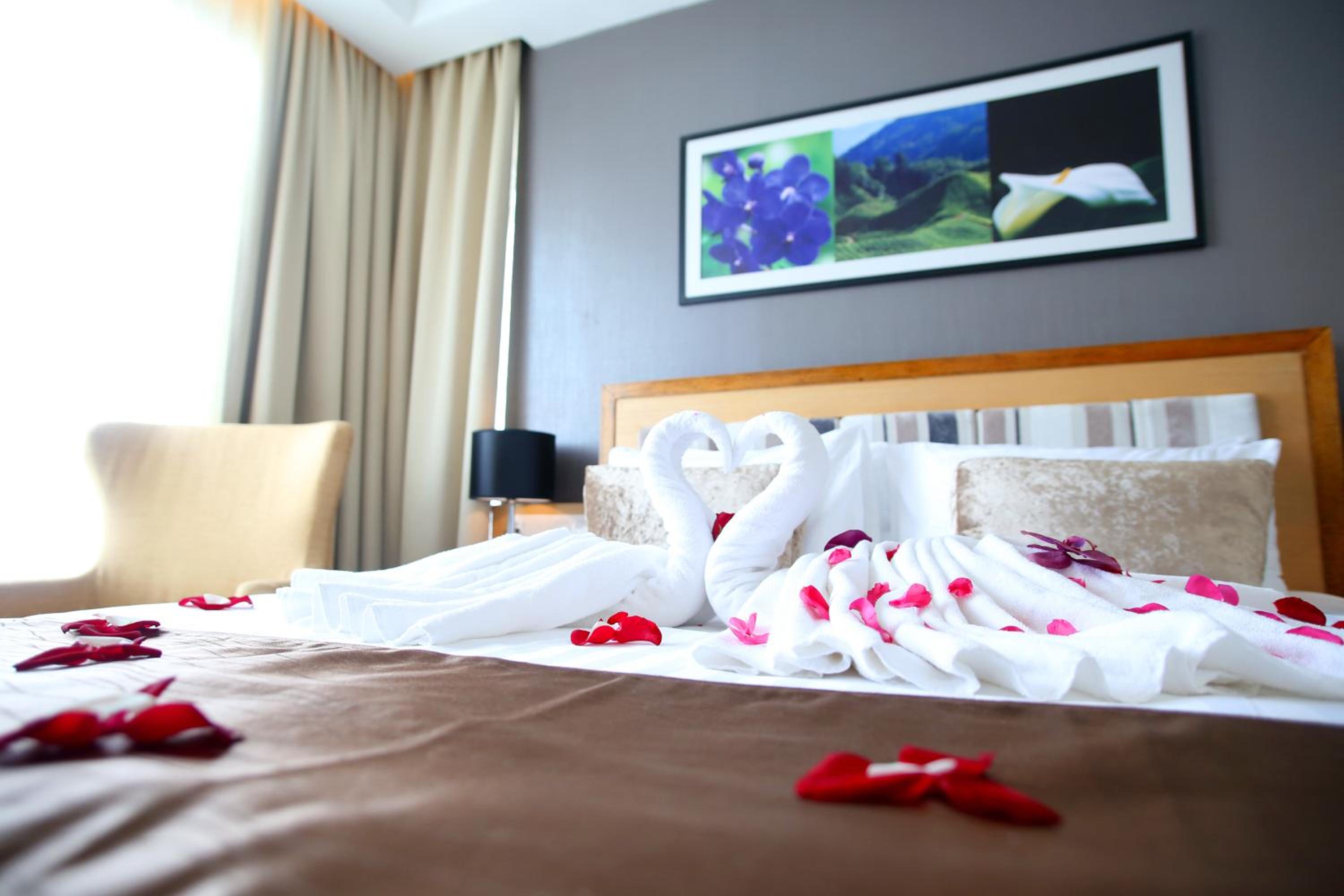 Executive Suite photo 2