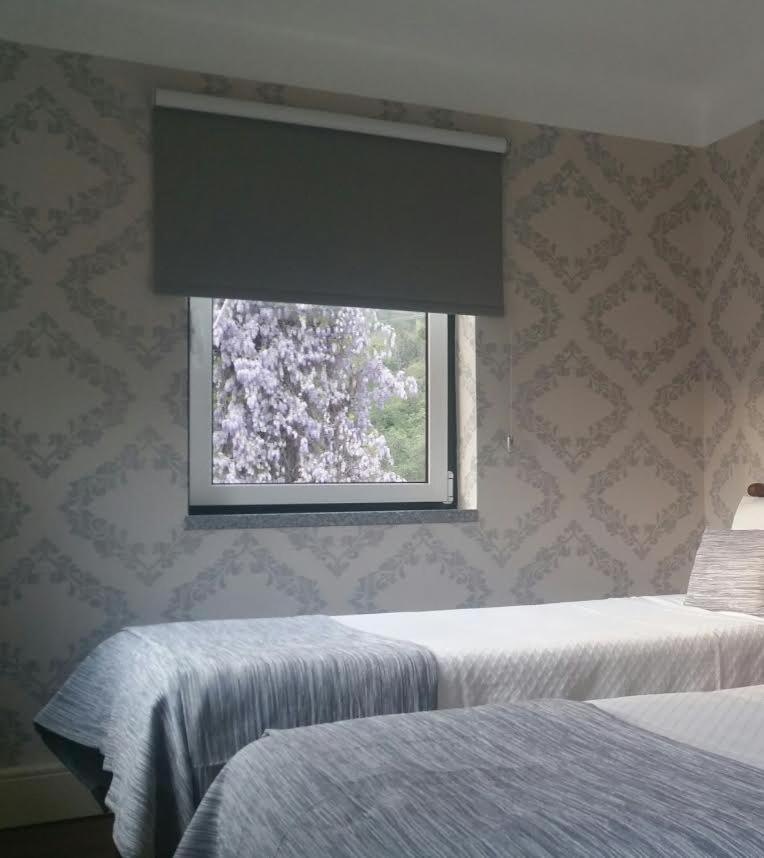Twin Room photo 3