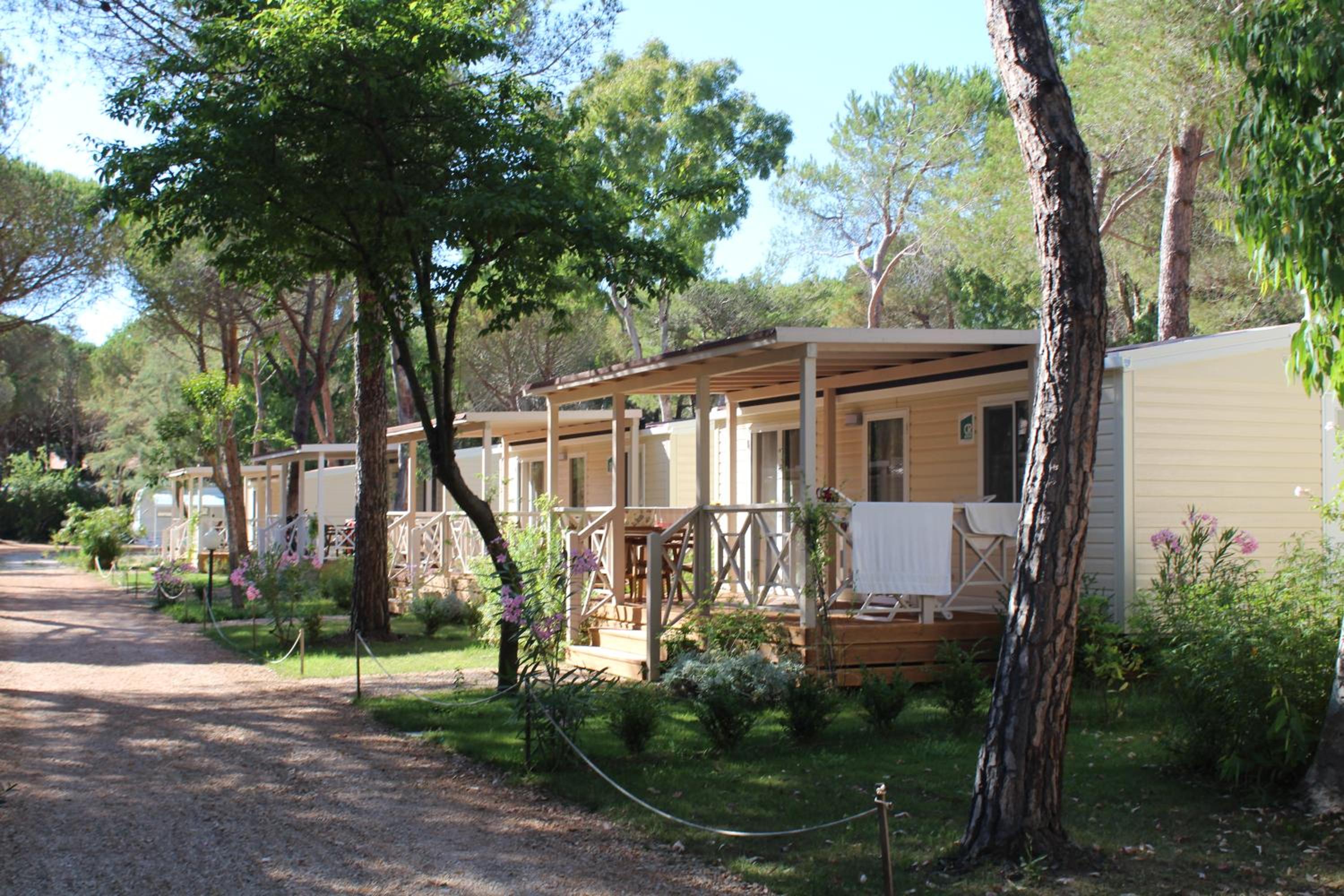 Mobile Home - Photo 4