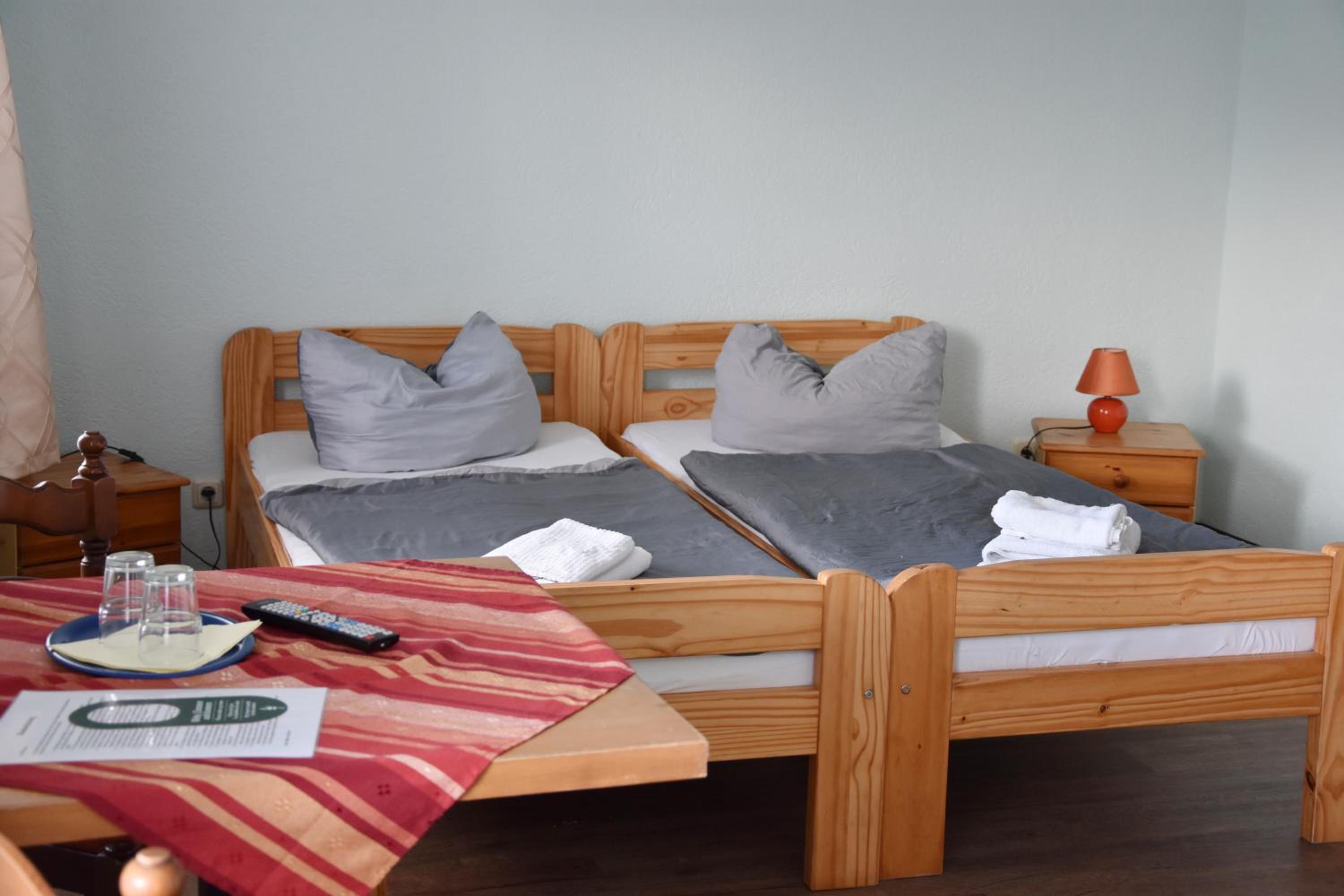 Double or Twin Room photo 3